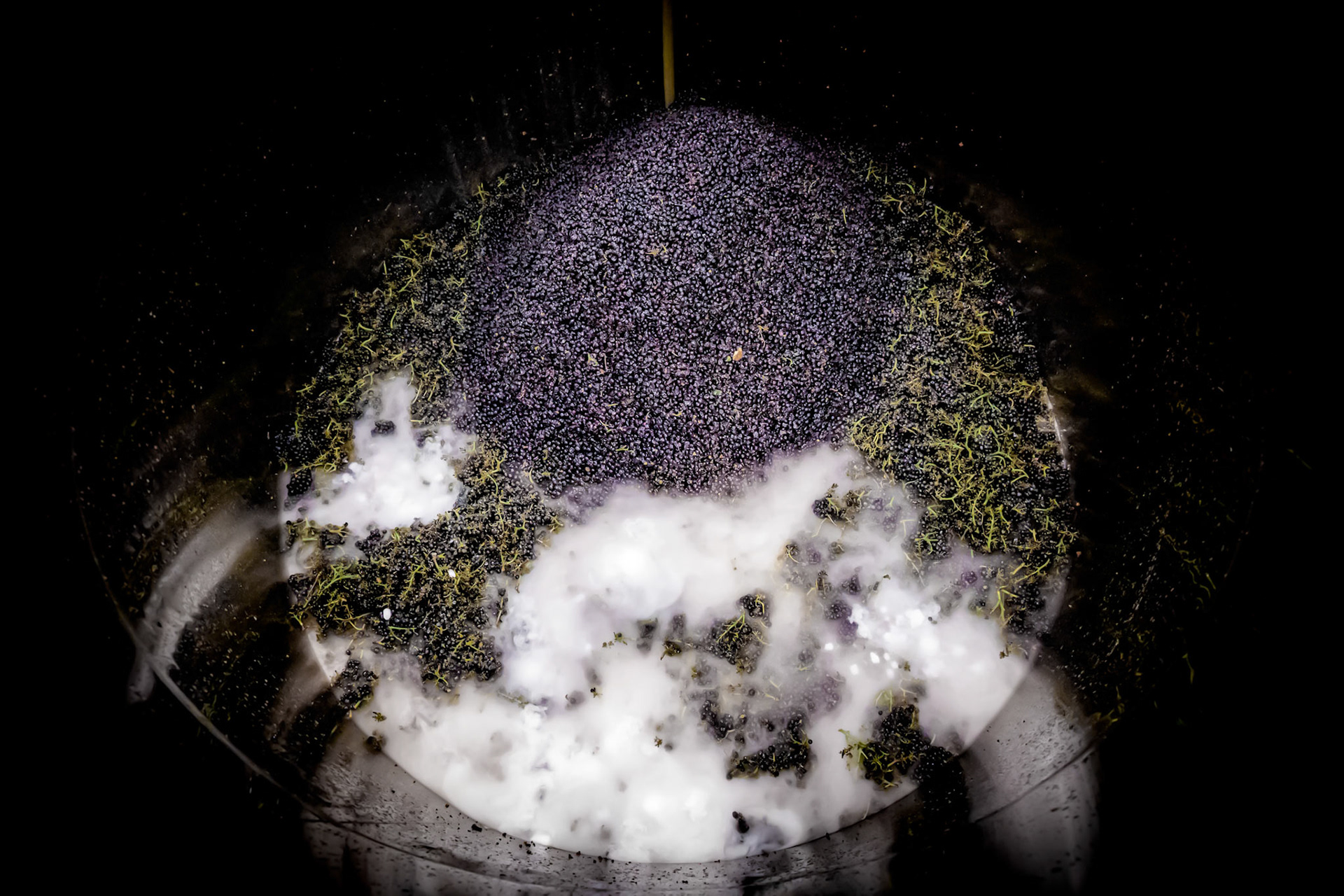 Domaine Gélin - Fixin