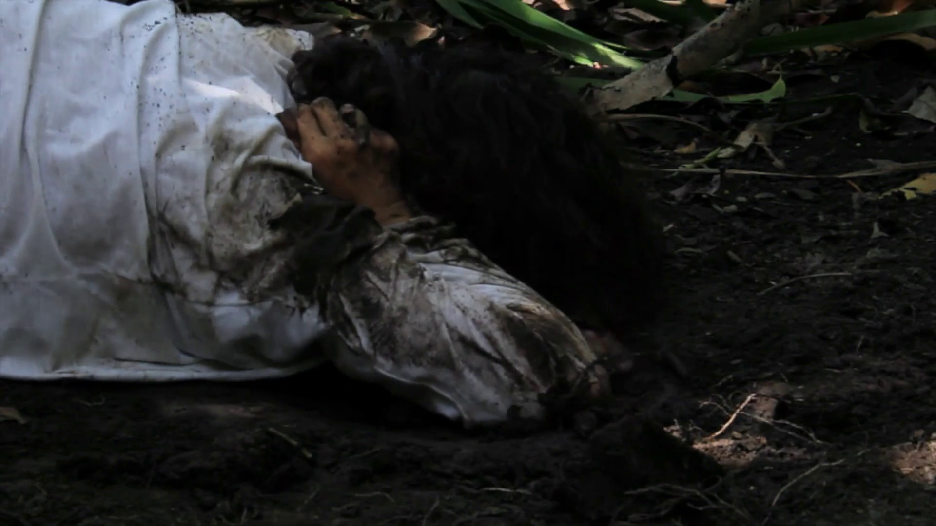 Fotografia: Toni Bevenutti | Produtora: Orla Filmes