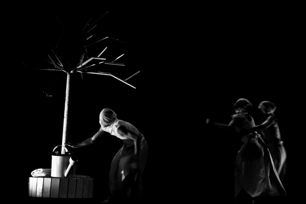 Acervo Aprendizes em Troca