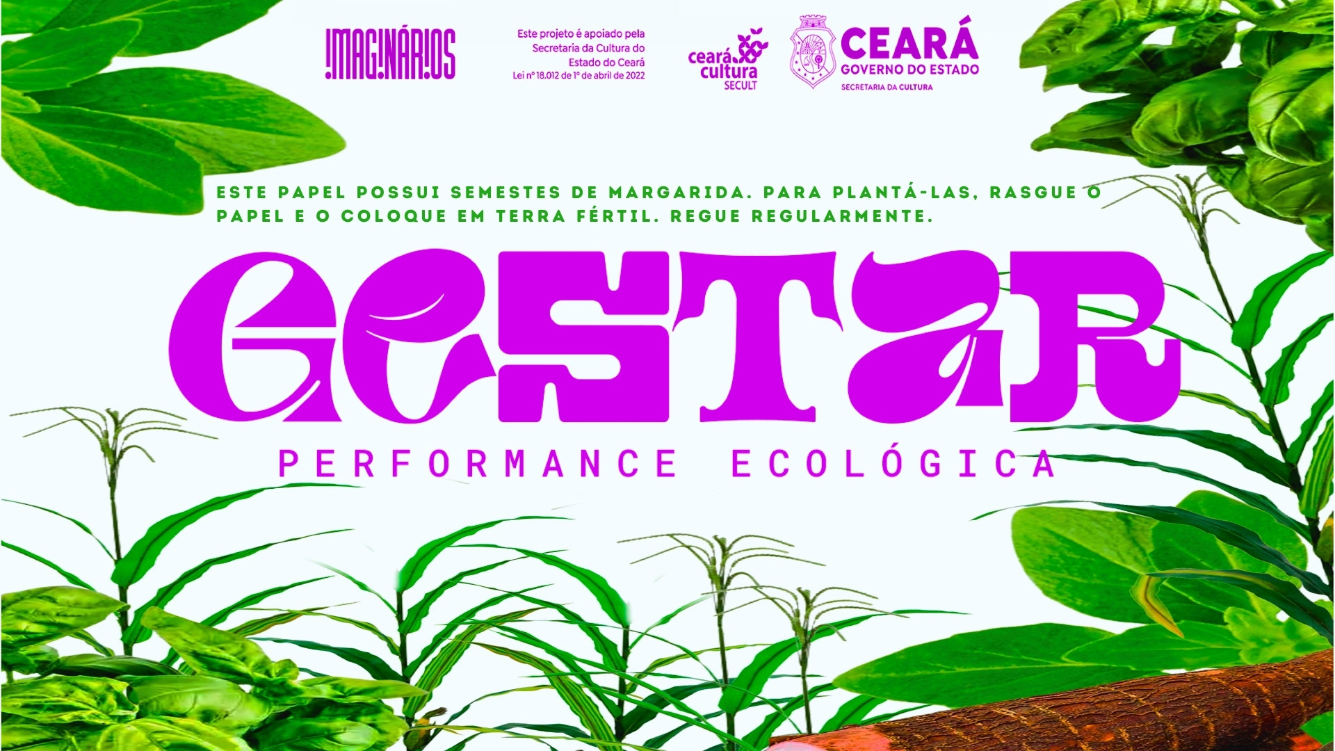 Manifesto Semente, performance ecológica Gestar