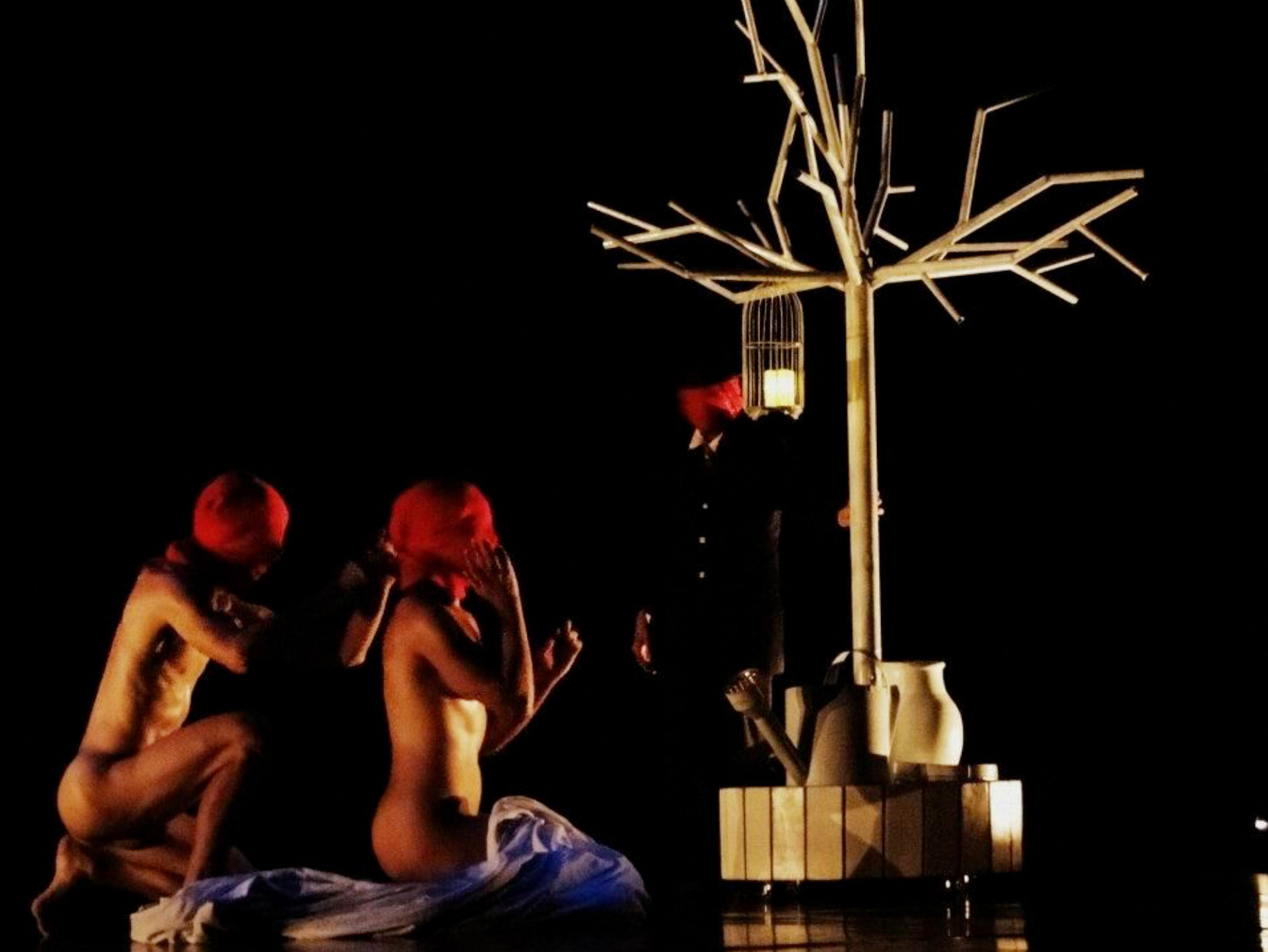 Acervo Aprendizes em Troca