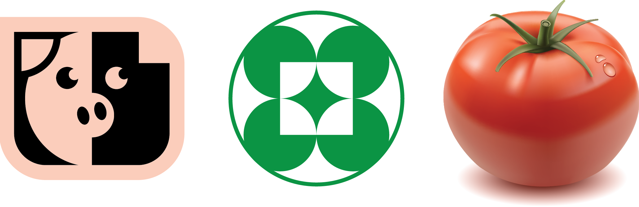 BLT DESIGN