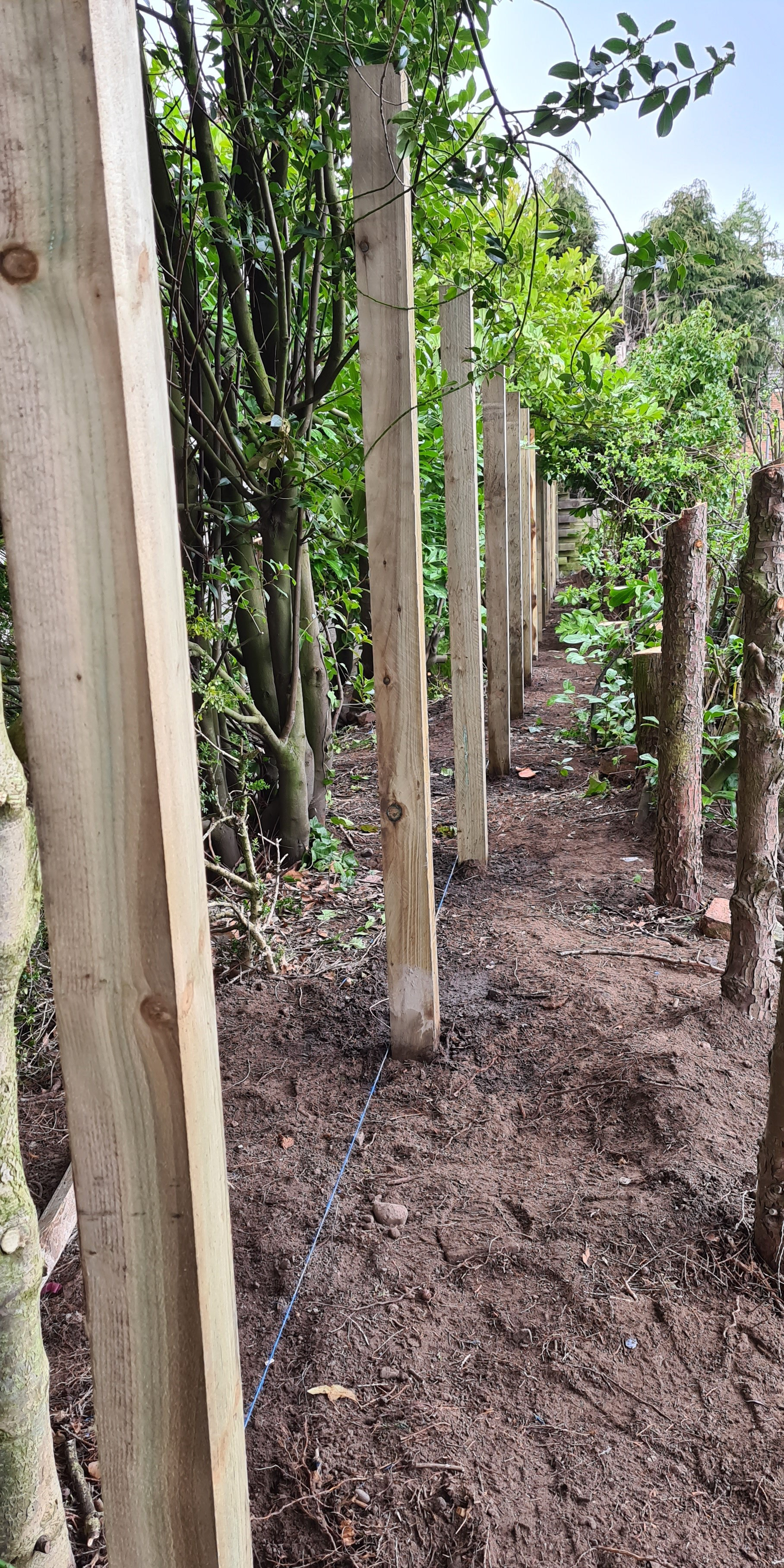 garden fence erection