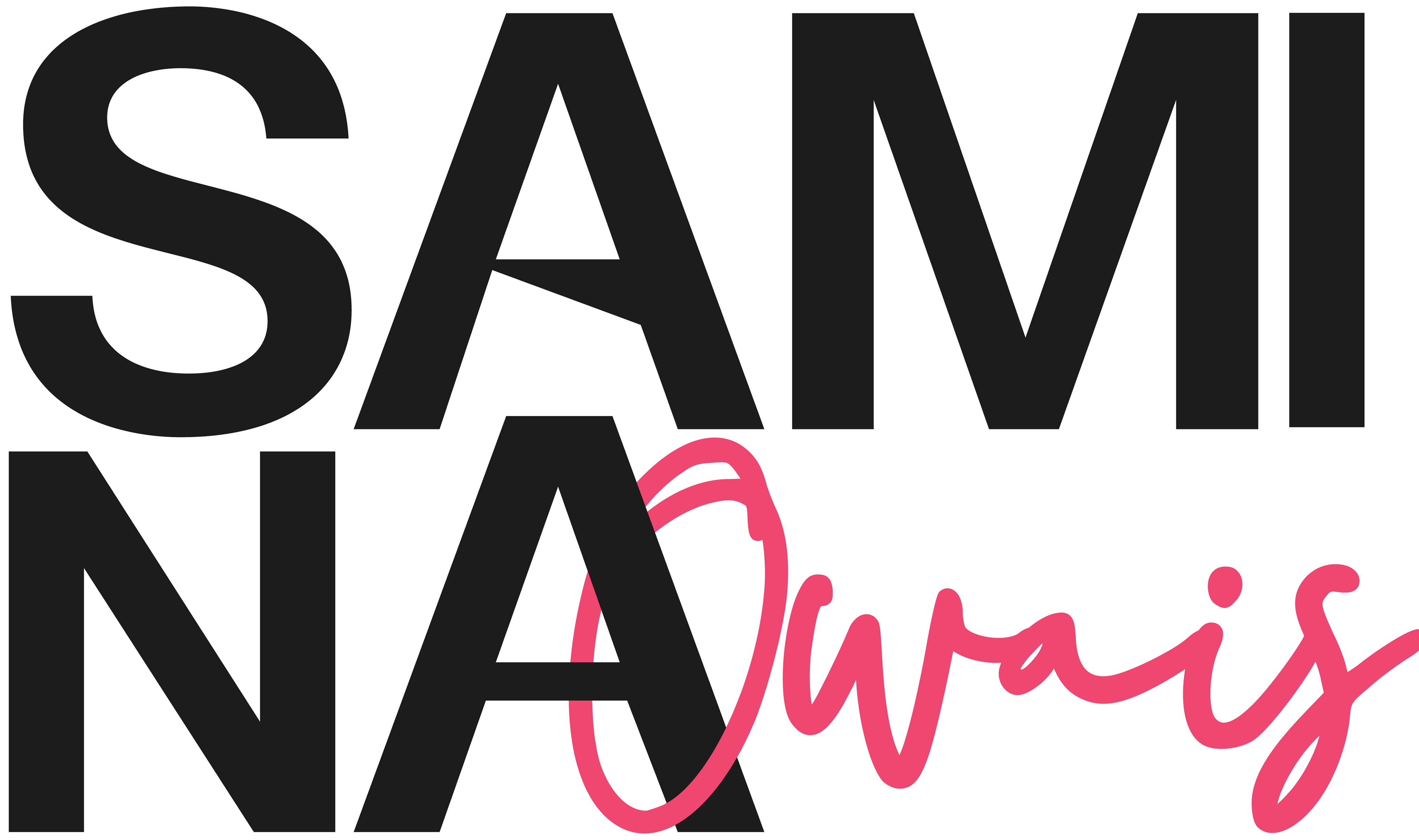 Samina Owais