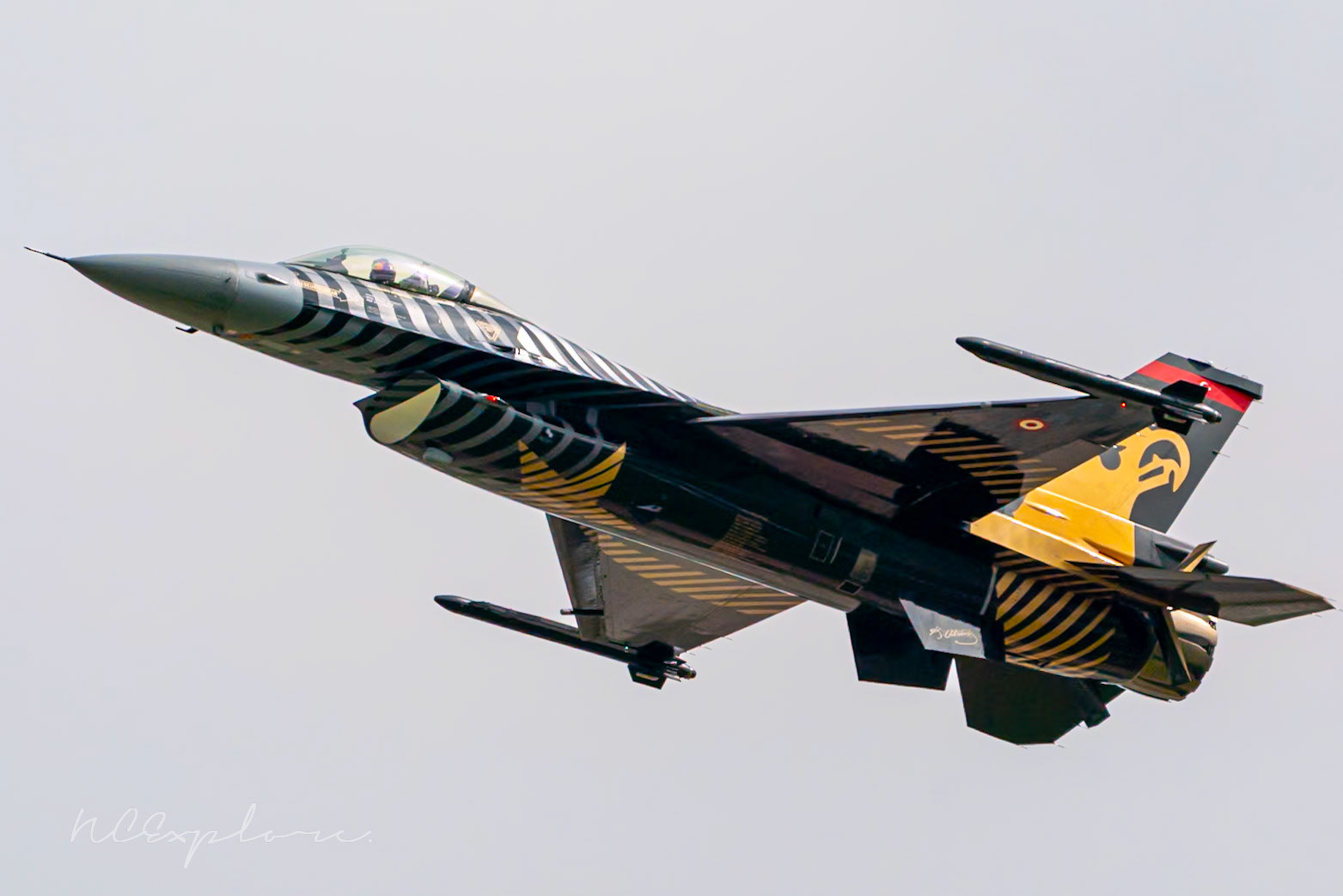 LOCKHEED MARTIN F-16C (Turkish Air Force)
