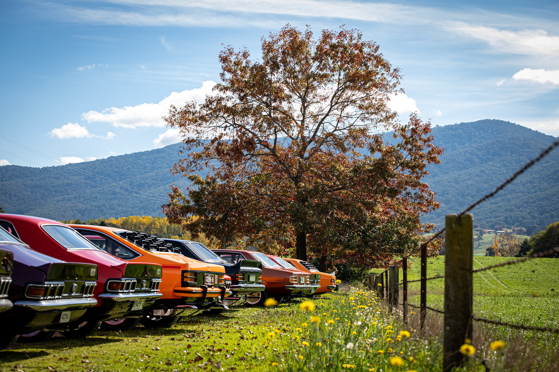 Torana Muscle on the Murray