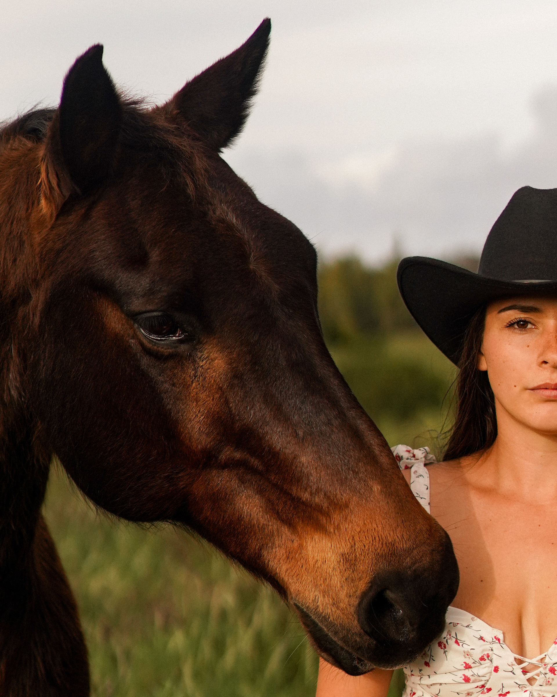 UPCOUNTRY RANCH, MAUI