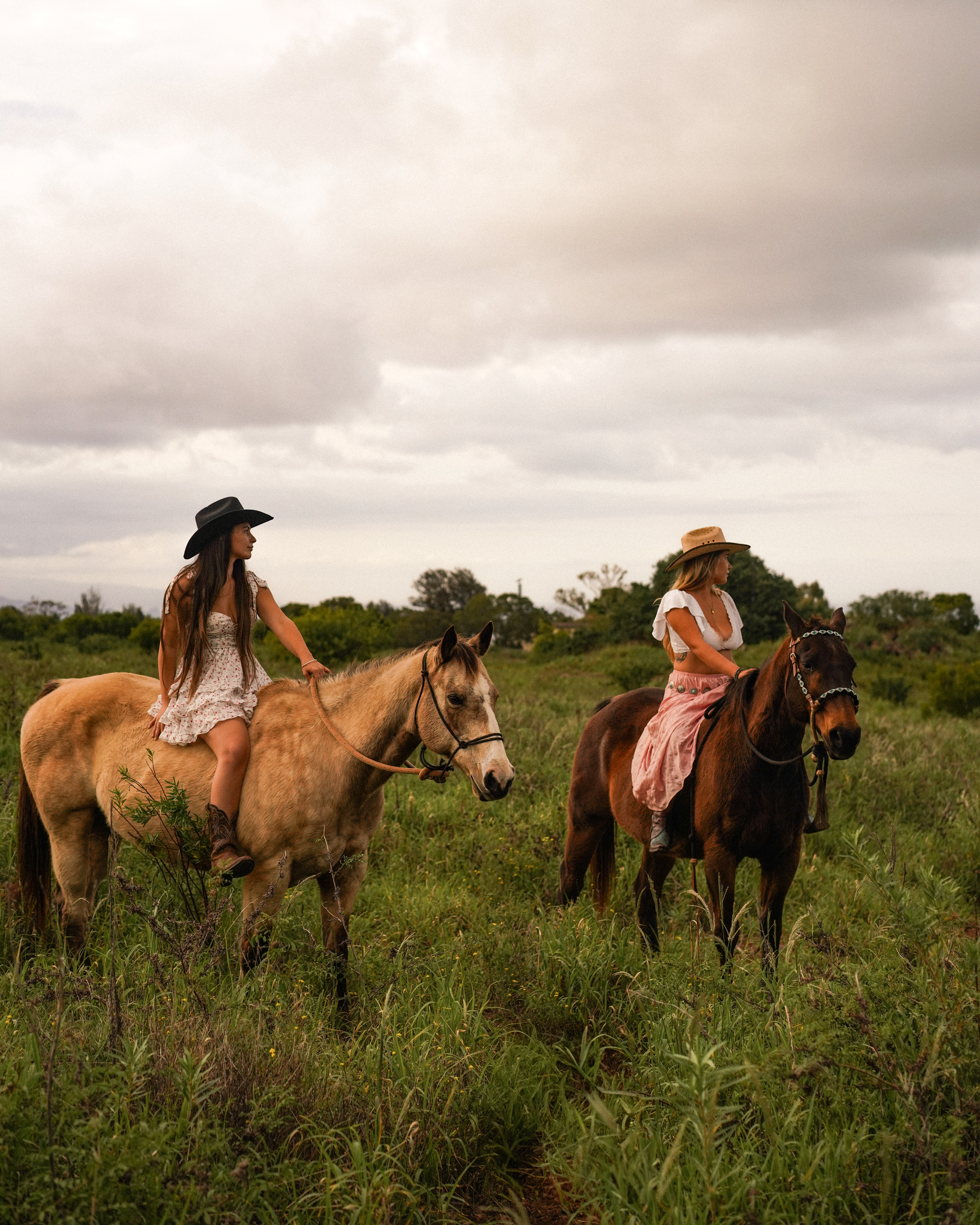 UPCOUNTRY RANCH, MAUI