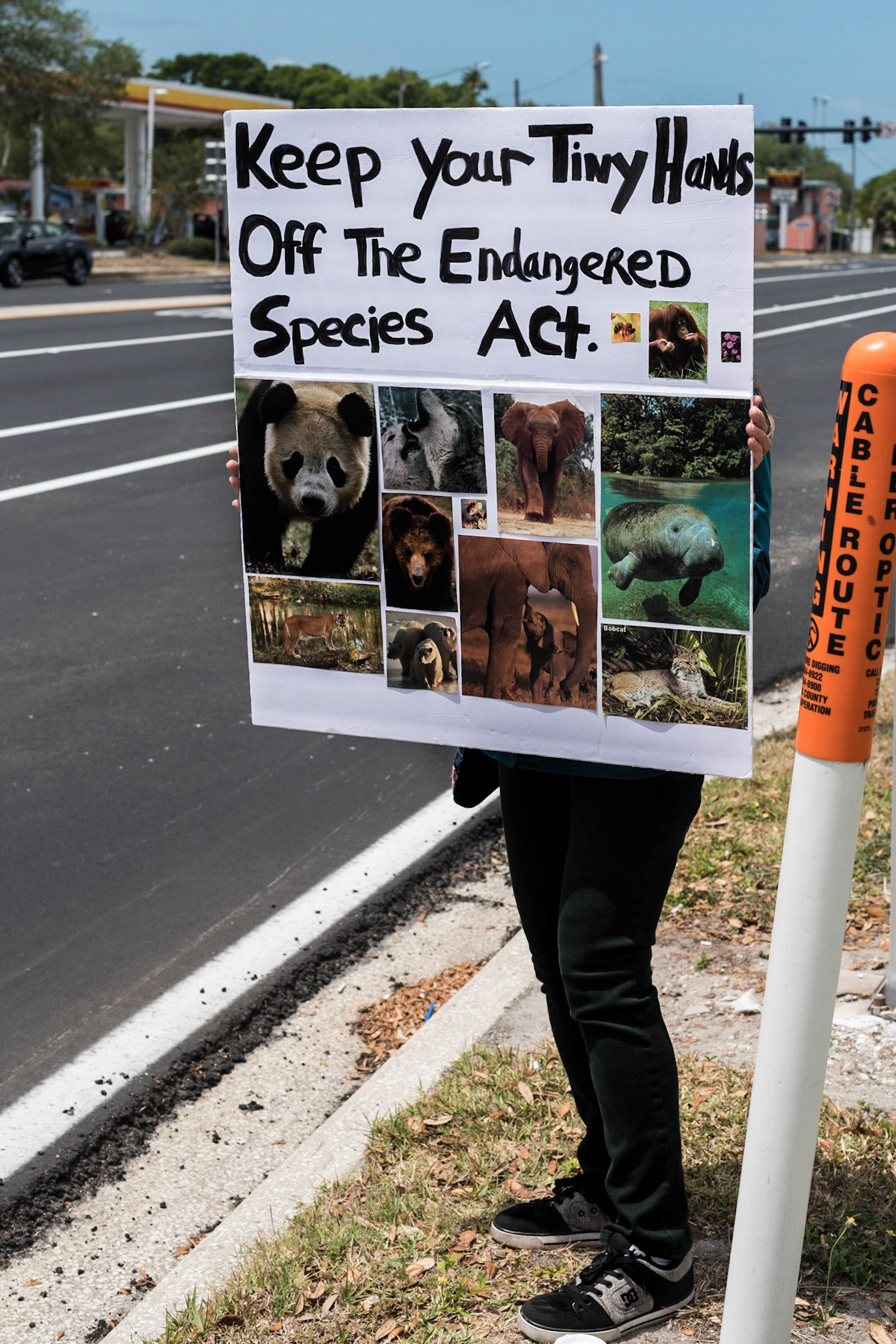 March for Science, Clearwater 13