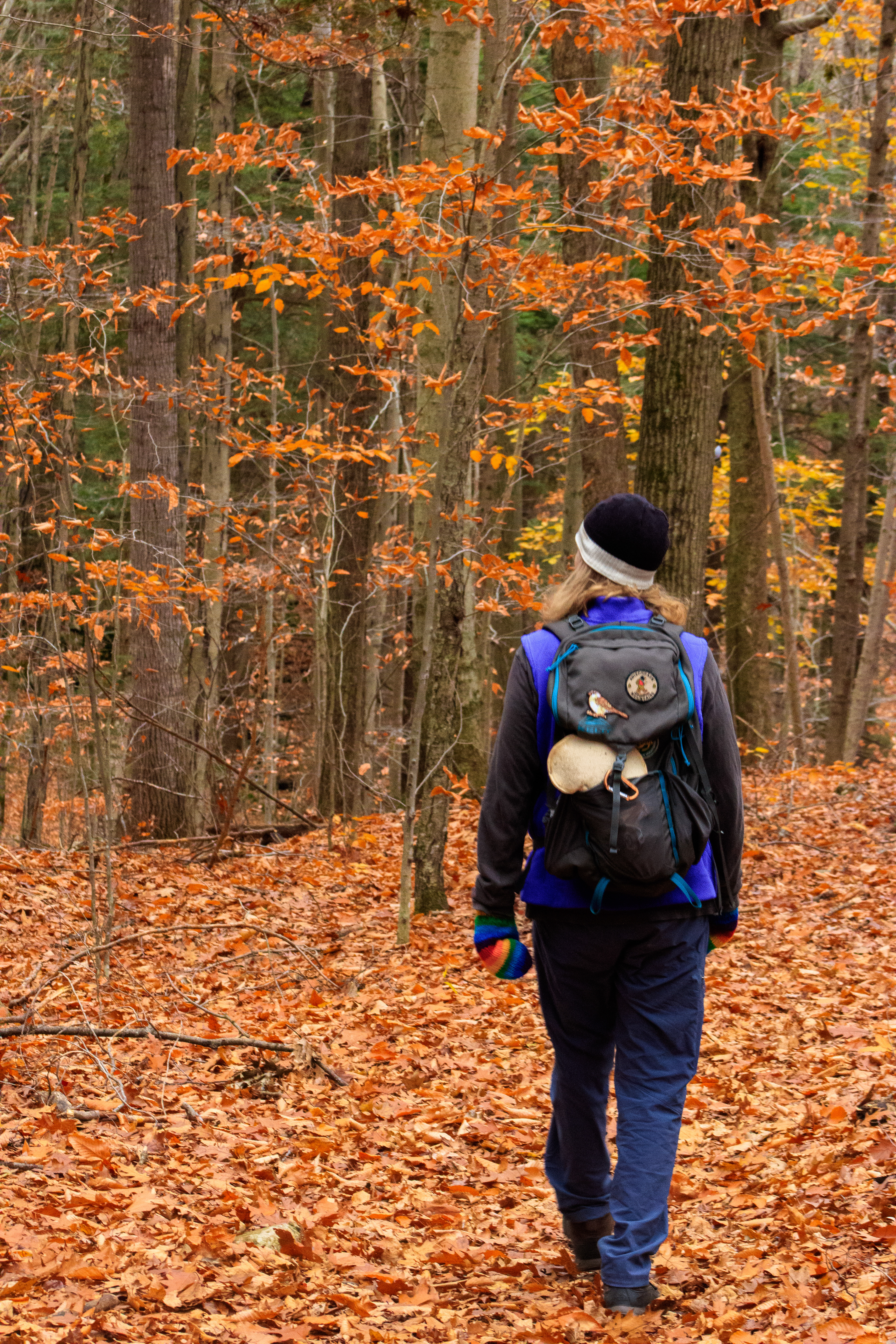 “Wandering into the season.”