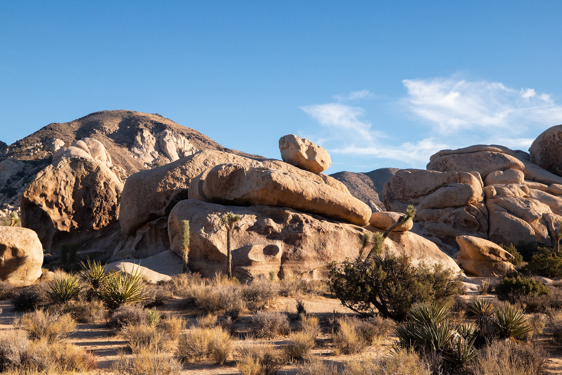Joshua Tree National Park