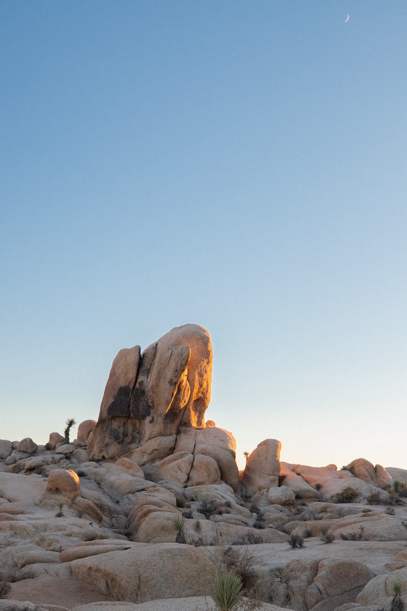 Joshua Tree National Park