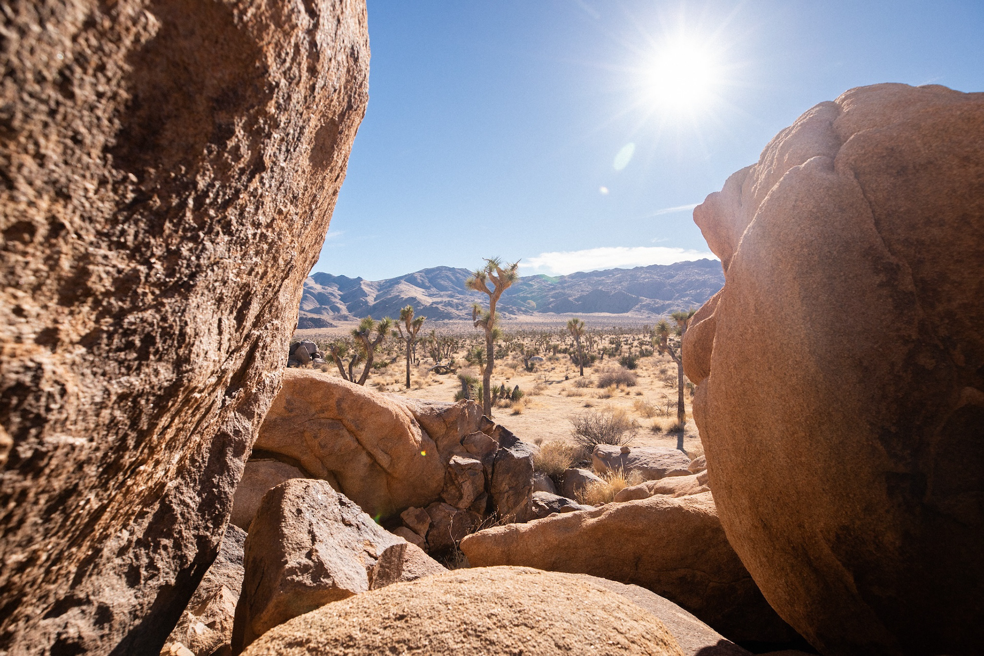 Joshua Tree National Park
