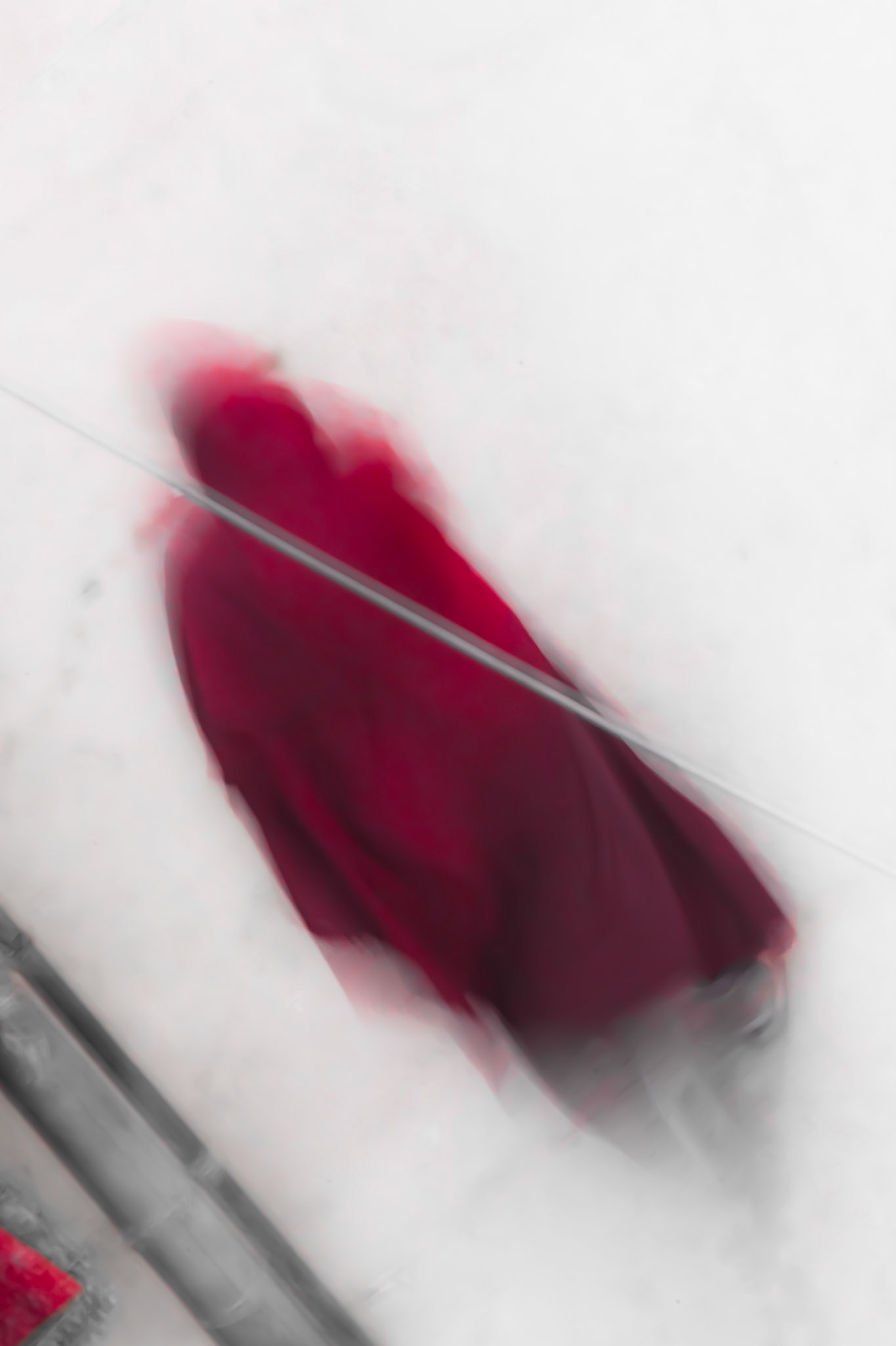 Moine tibétain  I  Inde  I  Dharamsala