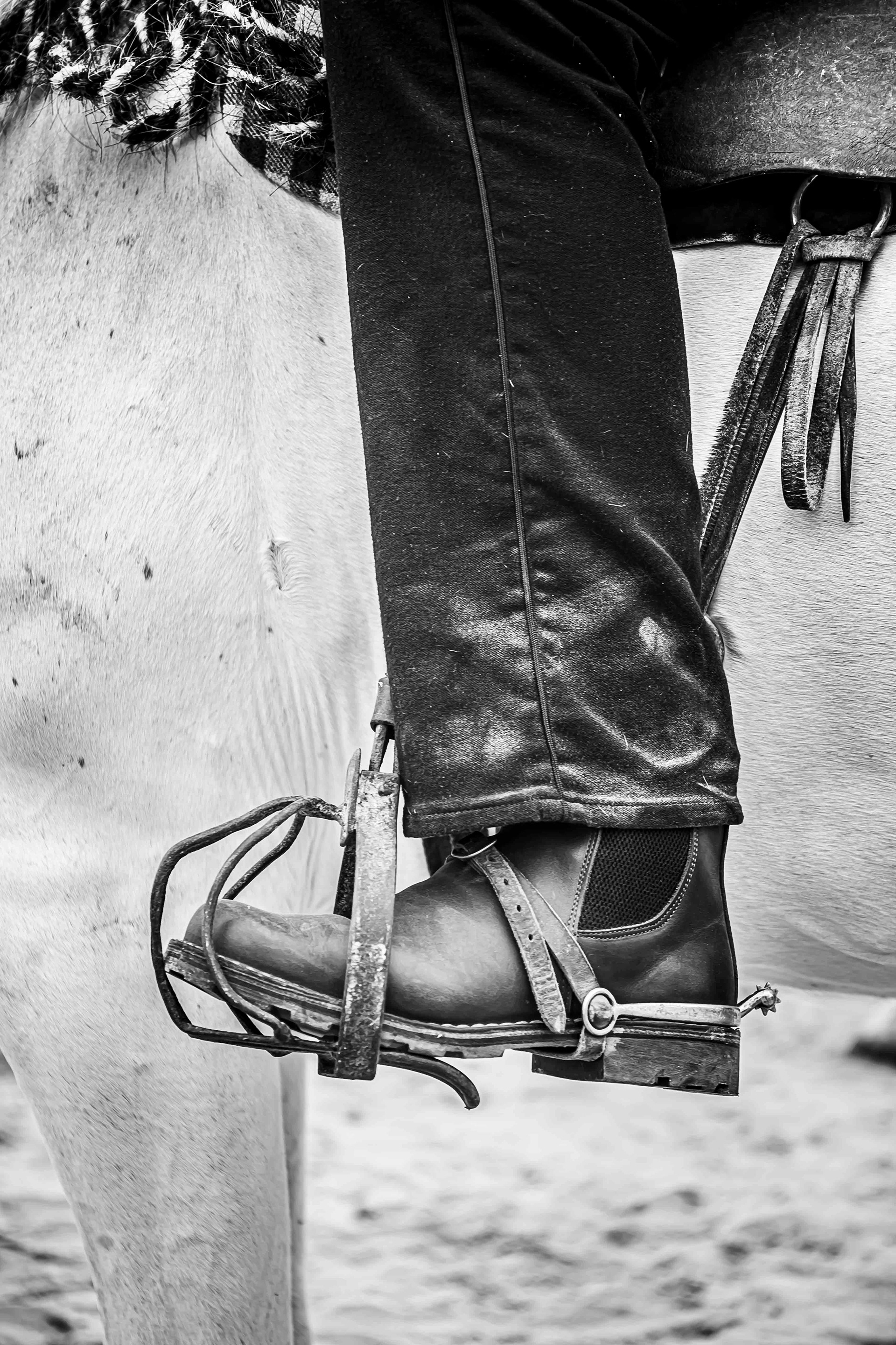 Gardian I Les Saintes-Maries-de-la-Mer