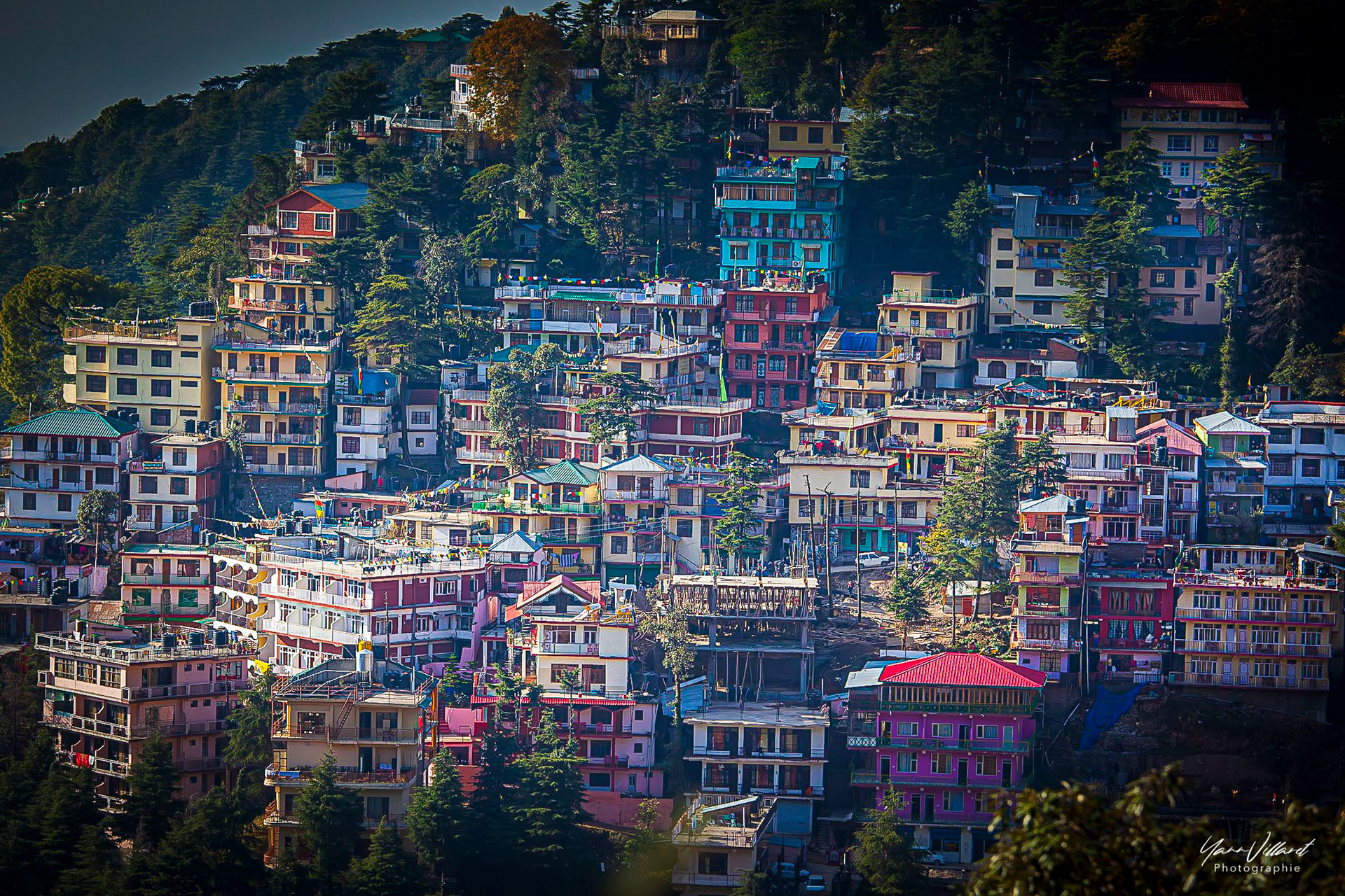 Inde  I  Dharamsala