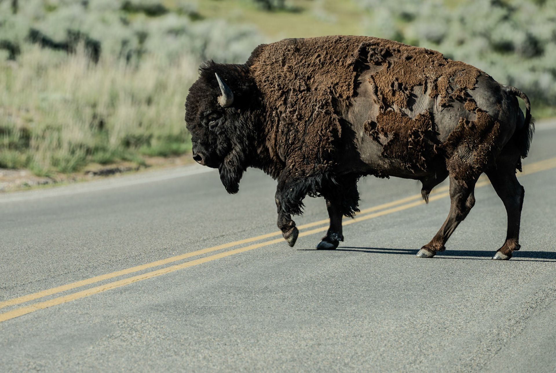 17 April 2026: Antelope Island, Utah