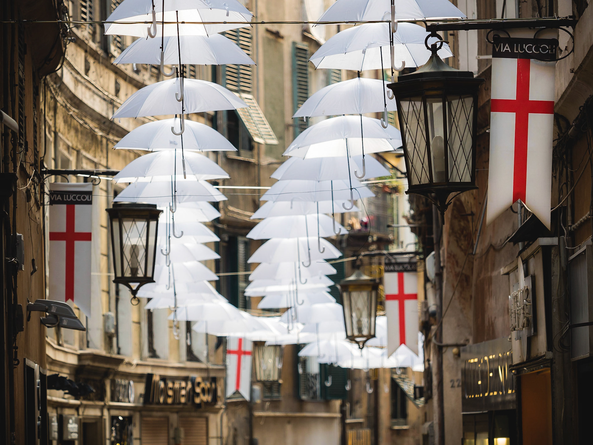 Another beautiful alleyway in Genova!