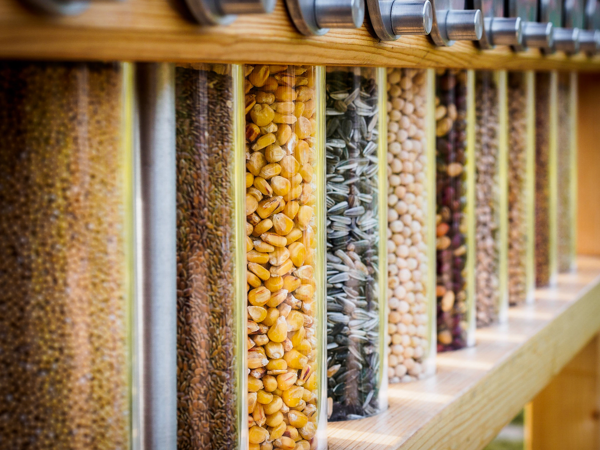 Can you recognize all of these grains and their name? Shame on me, I didn't !