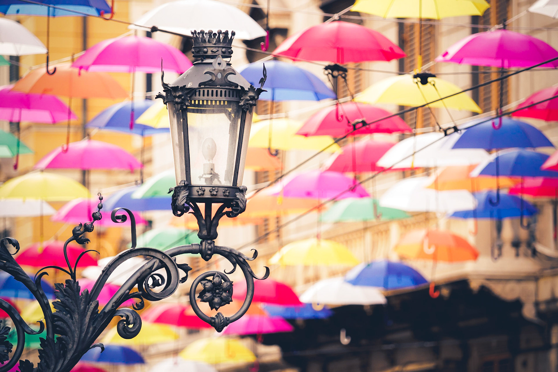 It's really hard to choose the best photos from the umbrella street here in Genova :)