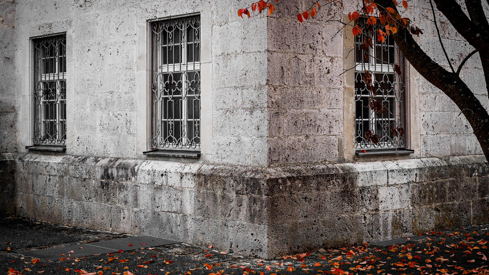 Autumn Expression  at Kloster Zwiefalten. http://www.zwiefalten.de/