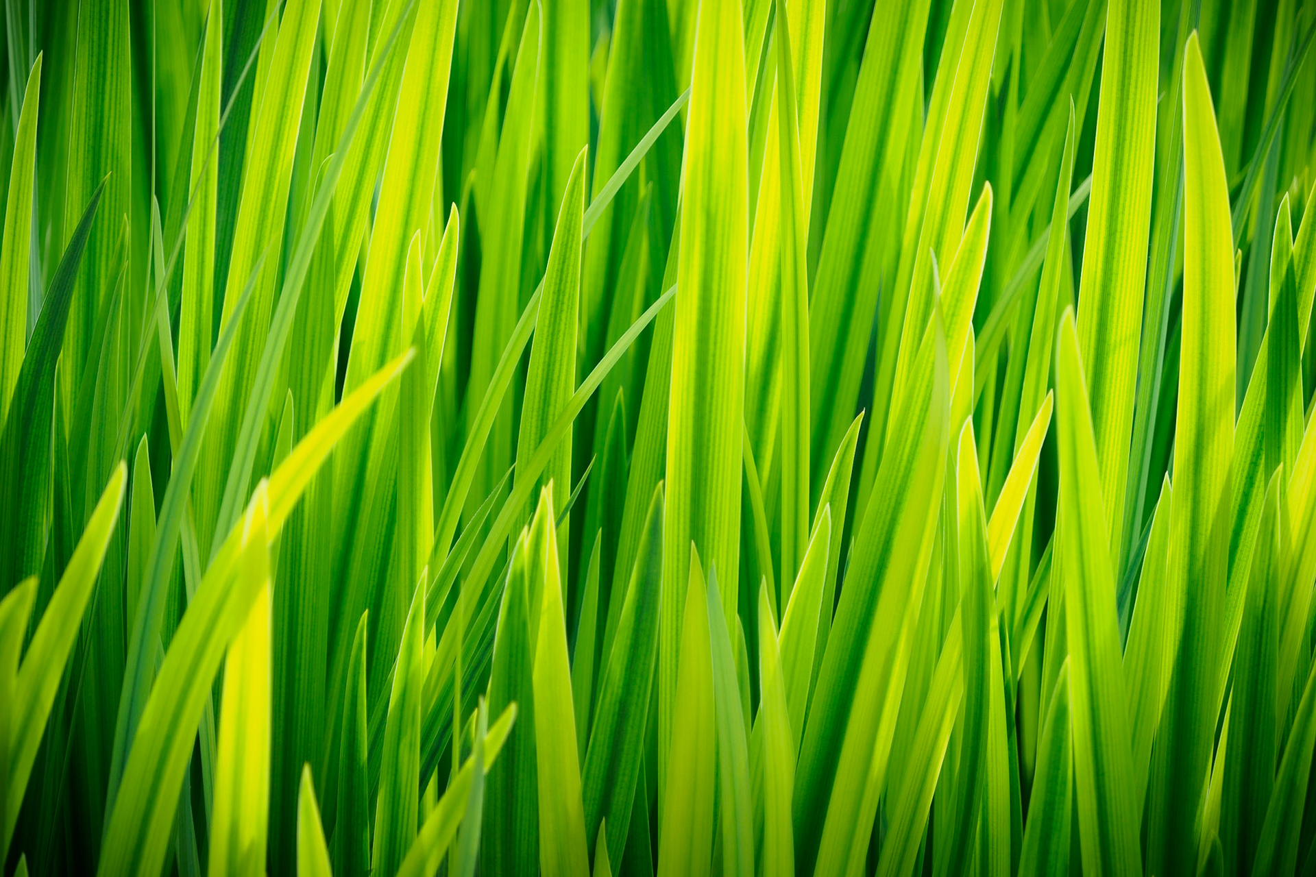 My new Background. Shot in Prague.