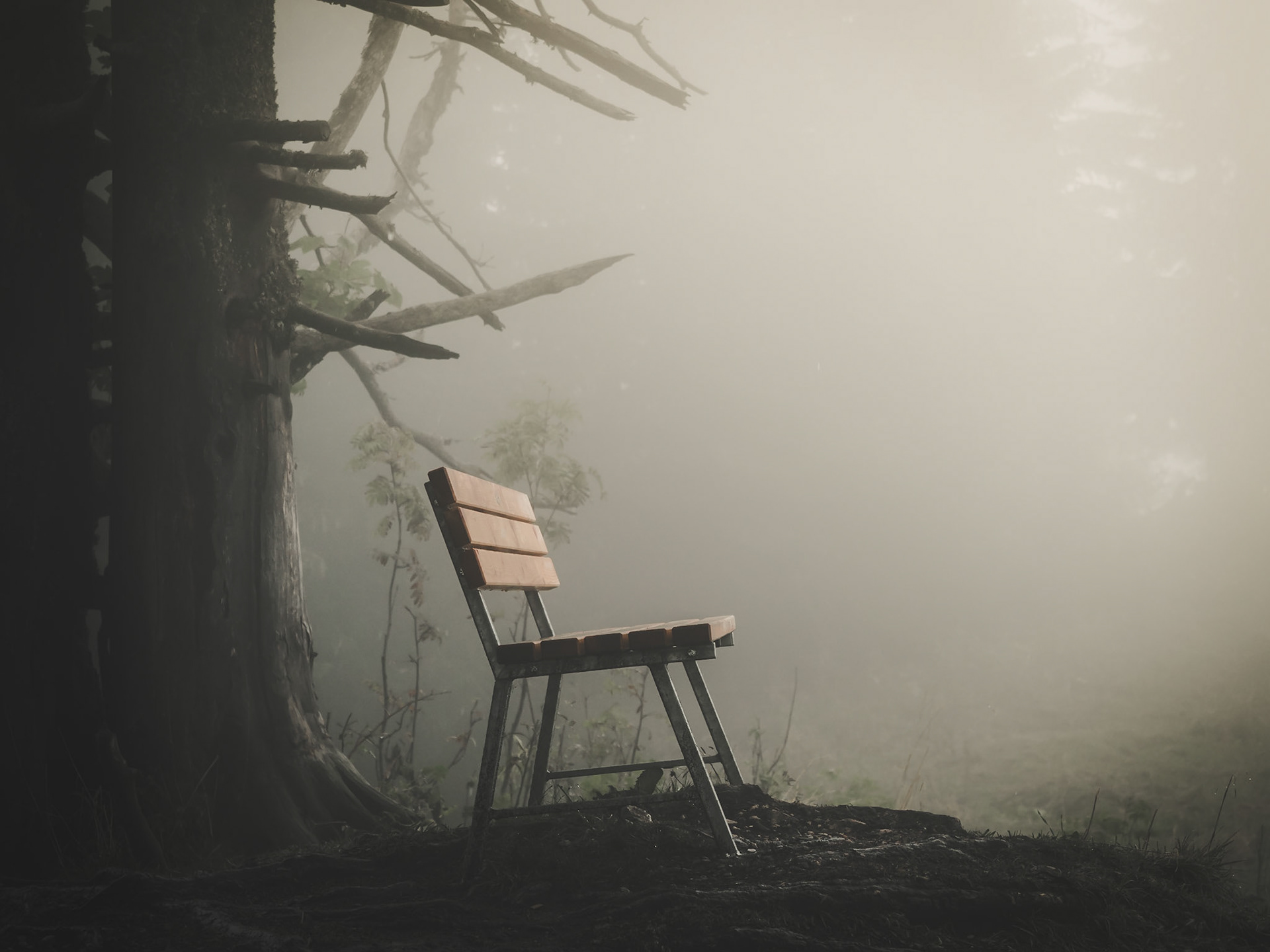 It's time for a break from foggy shots. Soon there will be some happier pictures here :)