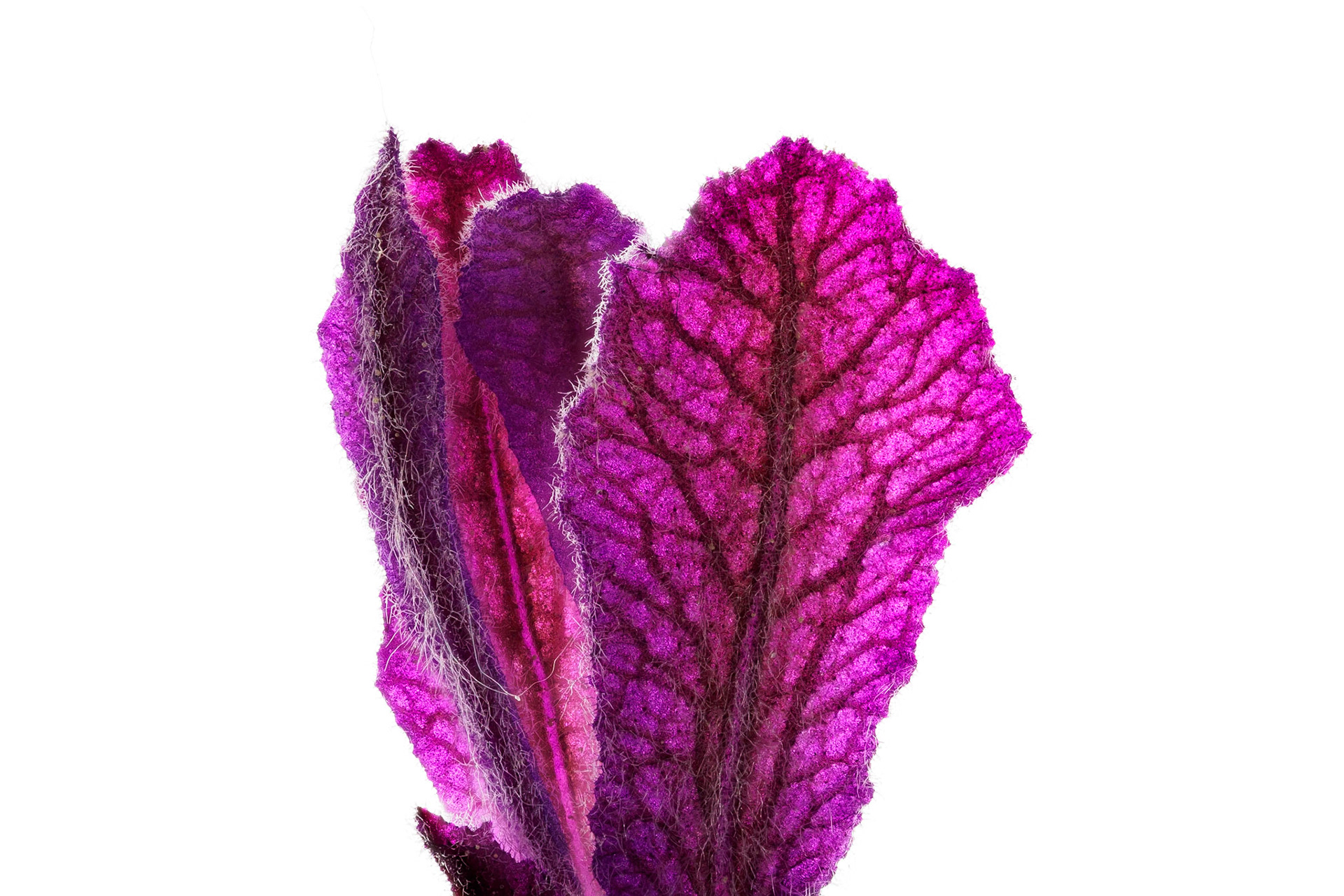 Do you know what this is? Post your idea in the comments :)