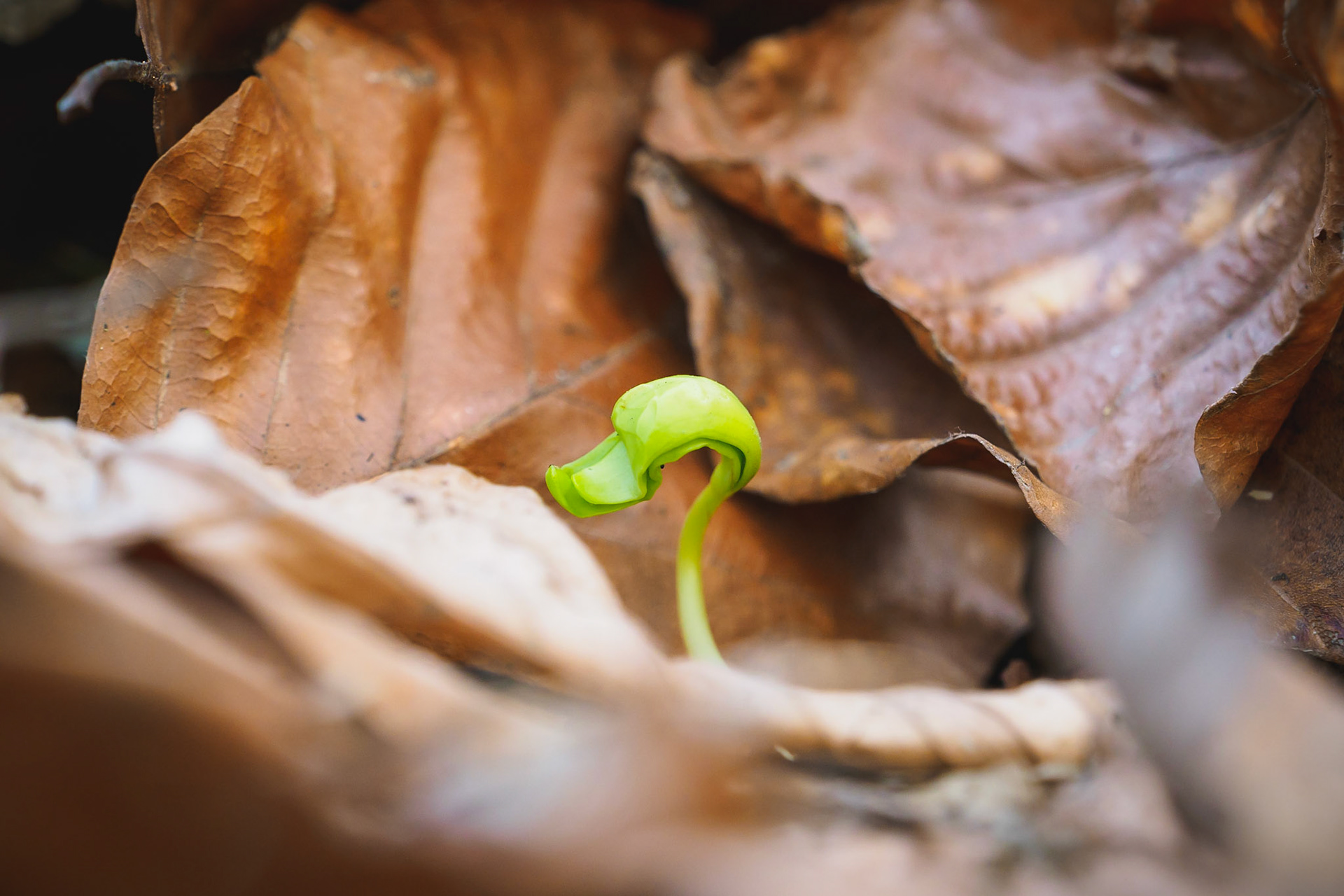 The best time of the year when everything is waking up from hibernation :)