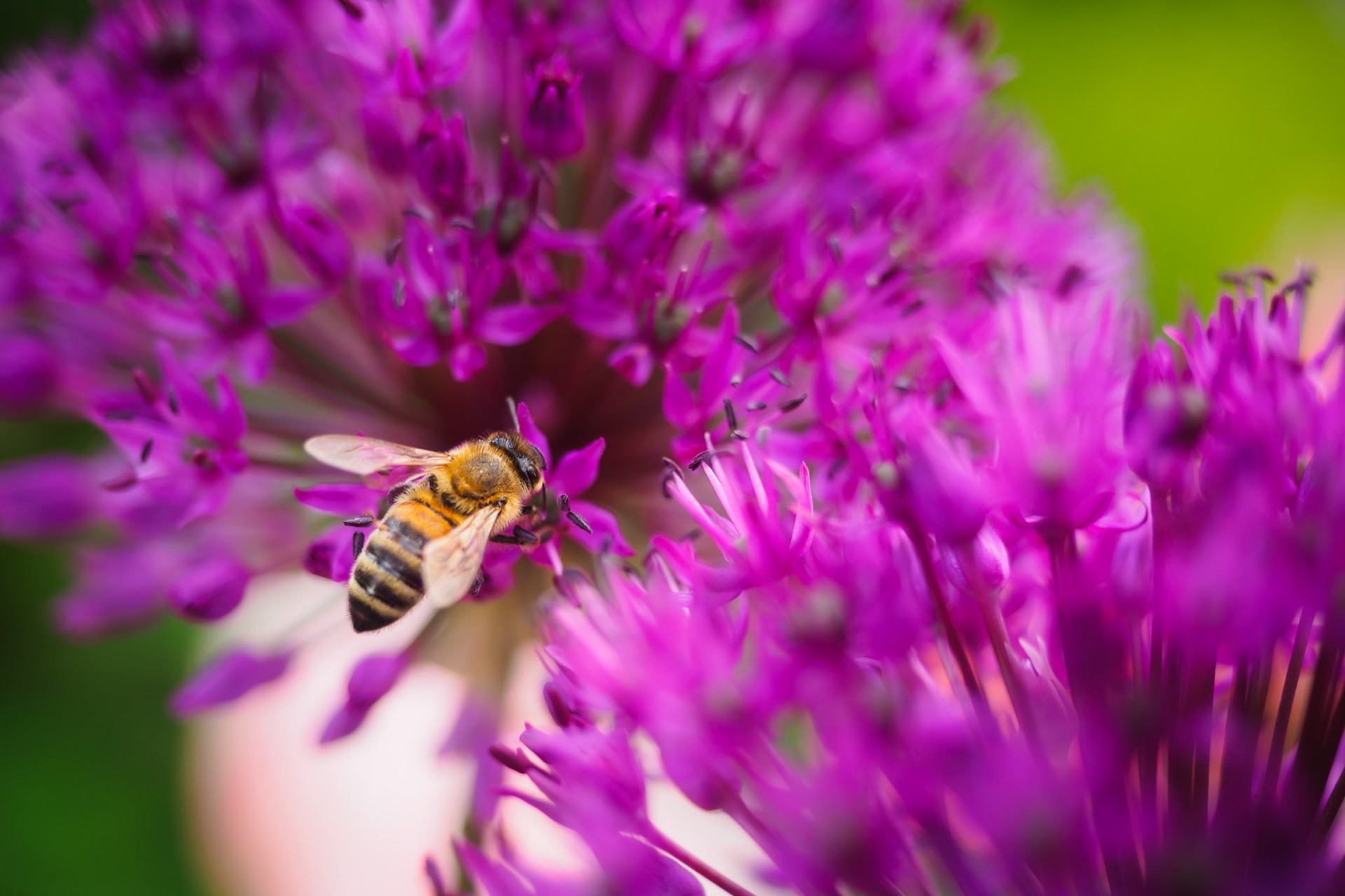 Enjoy the Summer Solstice!