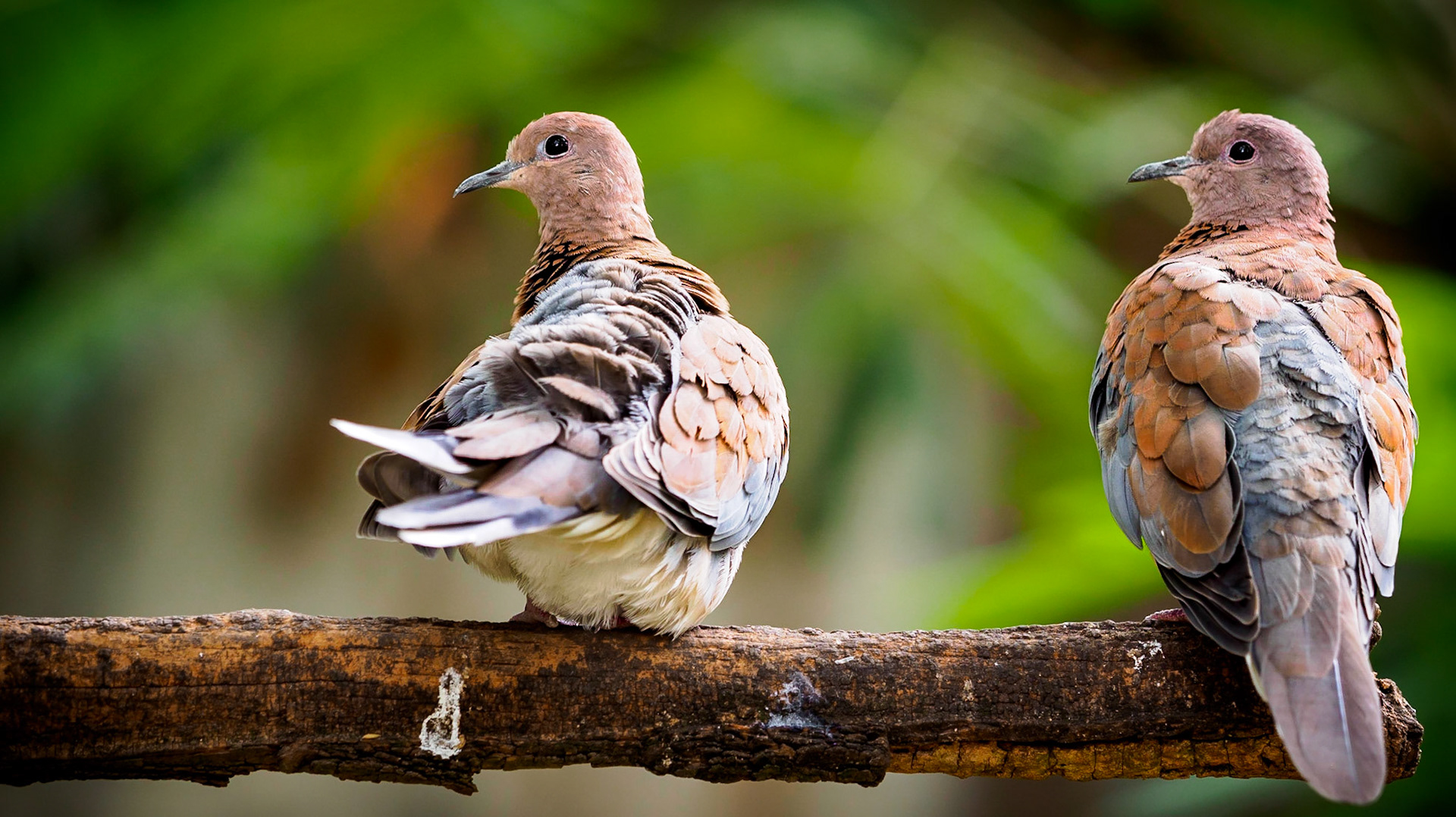 I'm guilty... I should have asked them before I uploaded this picture. Their look tells me that they did not want to be photographed :)