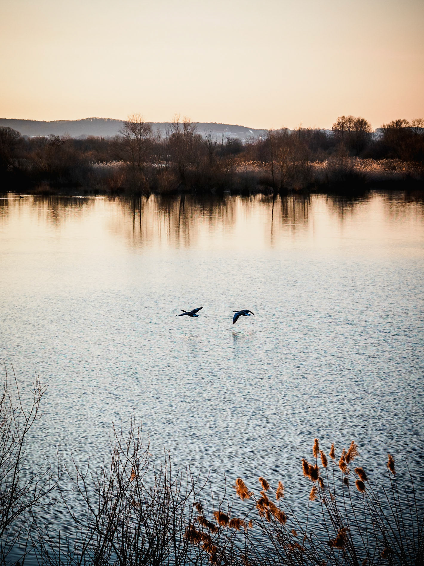 Shot on a freezing cold morning right after sunrise. What a lovely place.