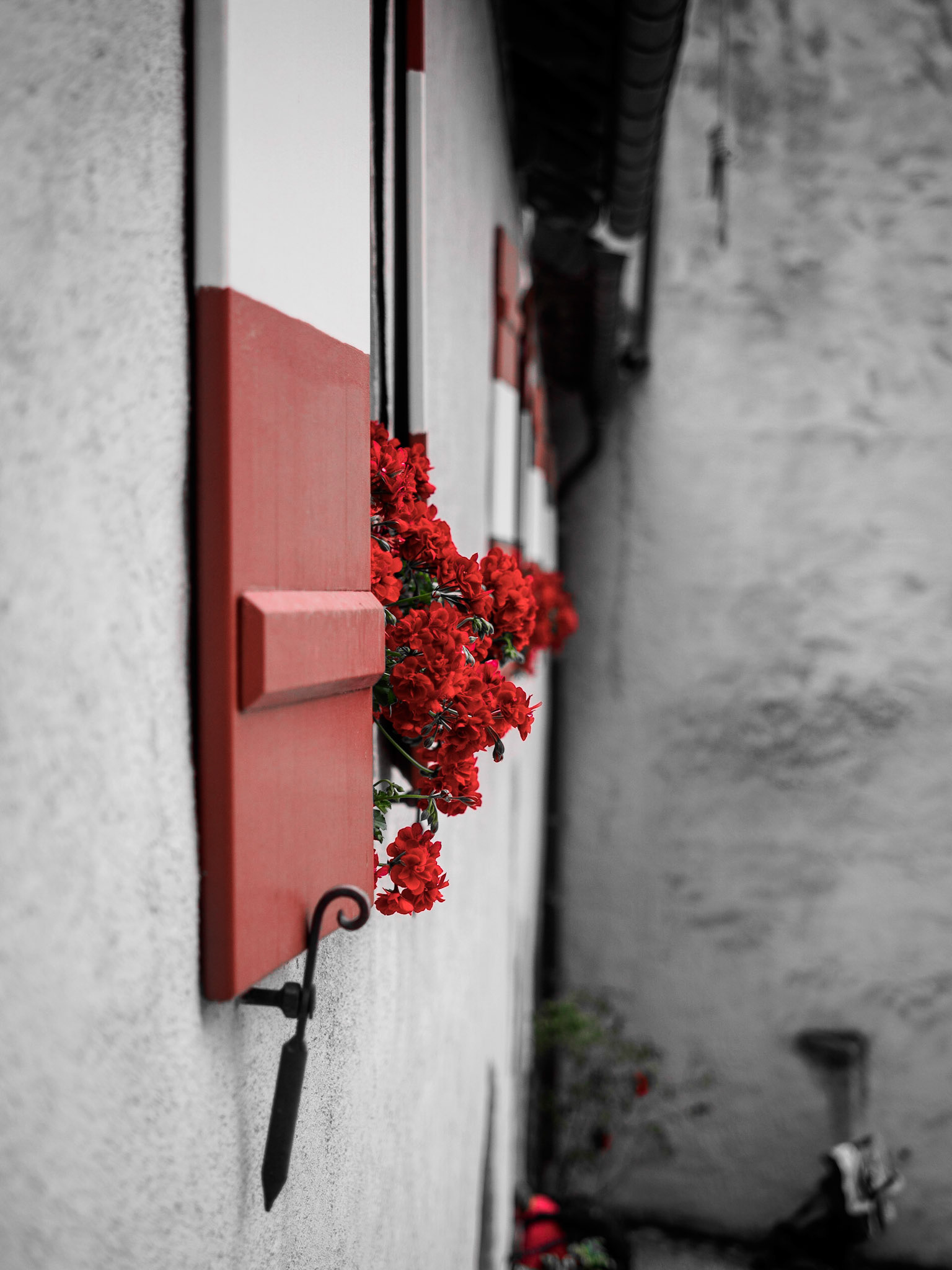 Salzburger Land 2015