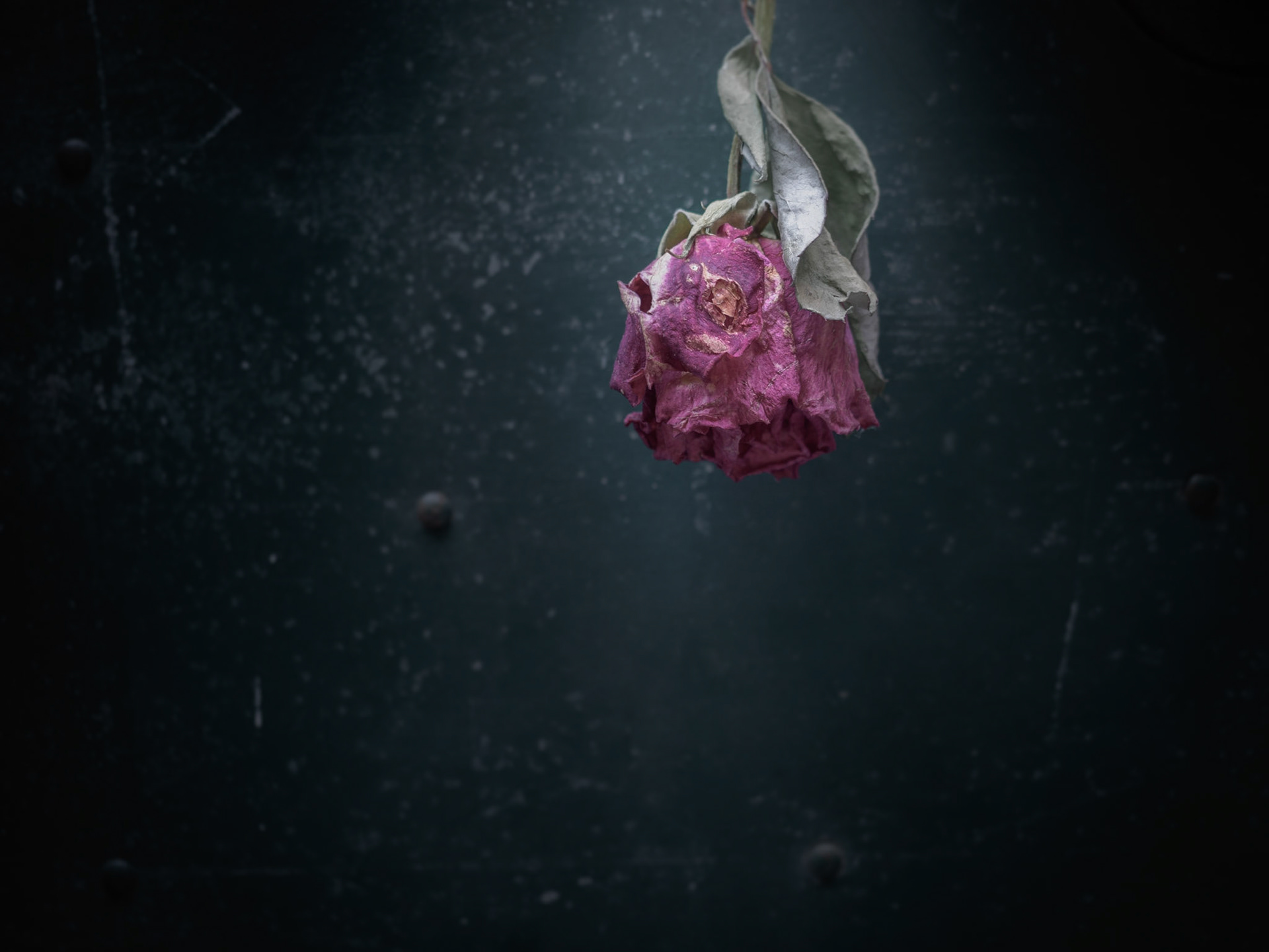 Even the most beautiful things once have to go.