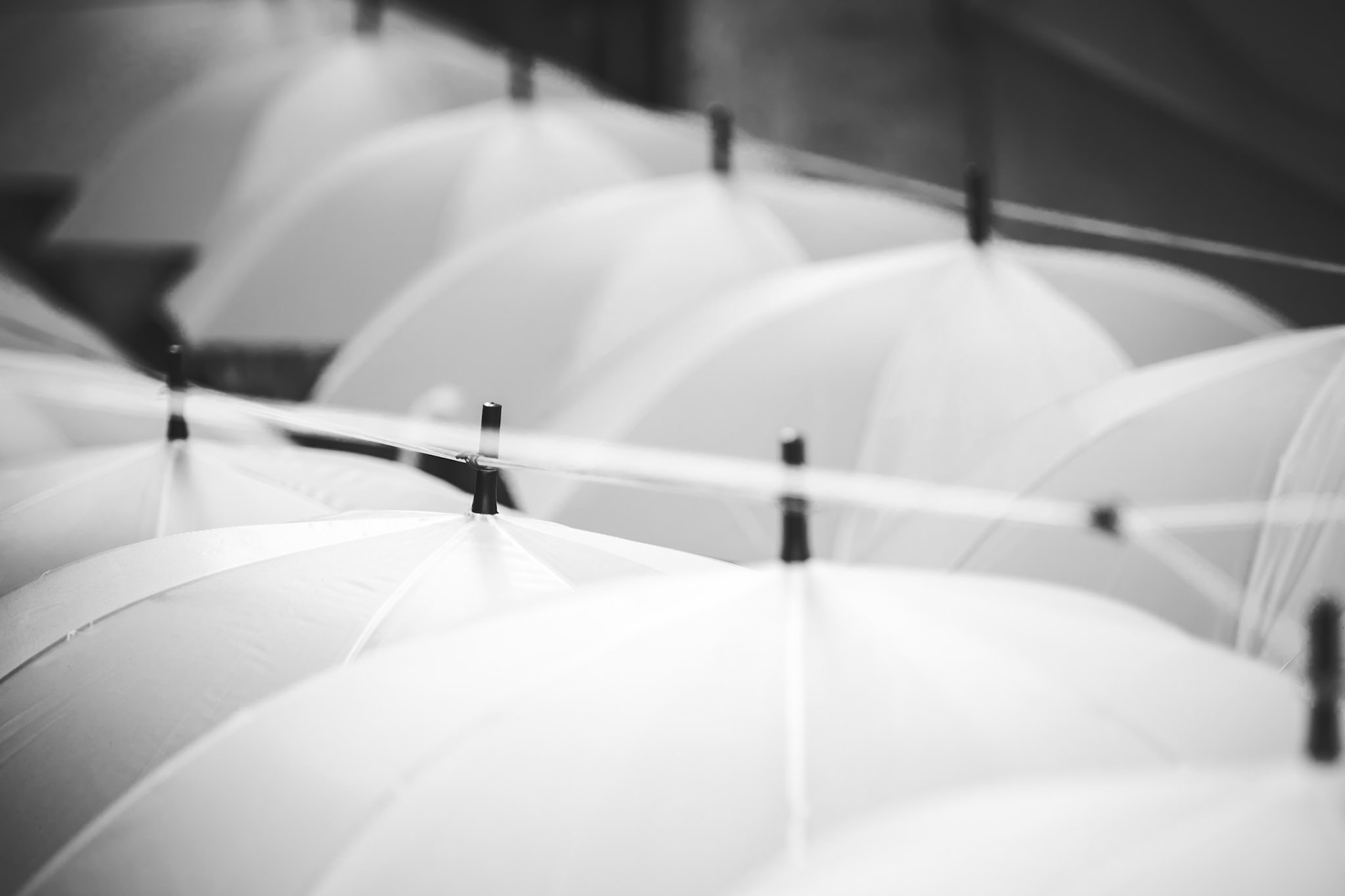 Another street, another angle of these beautiful installations.