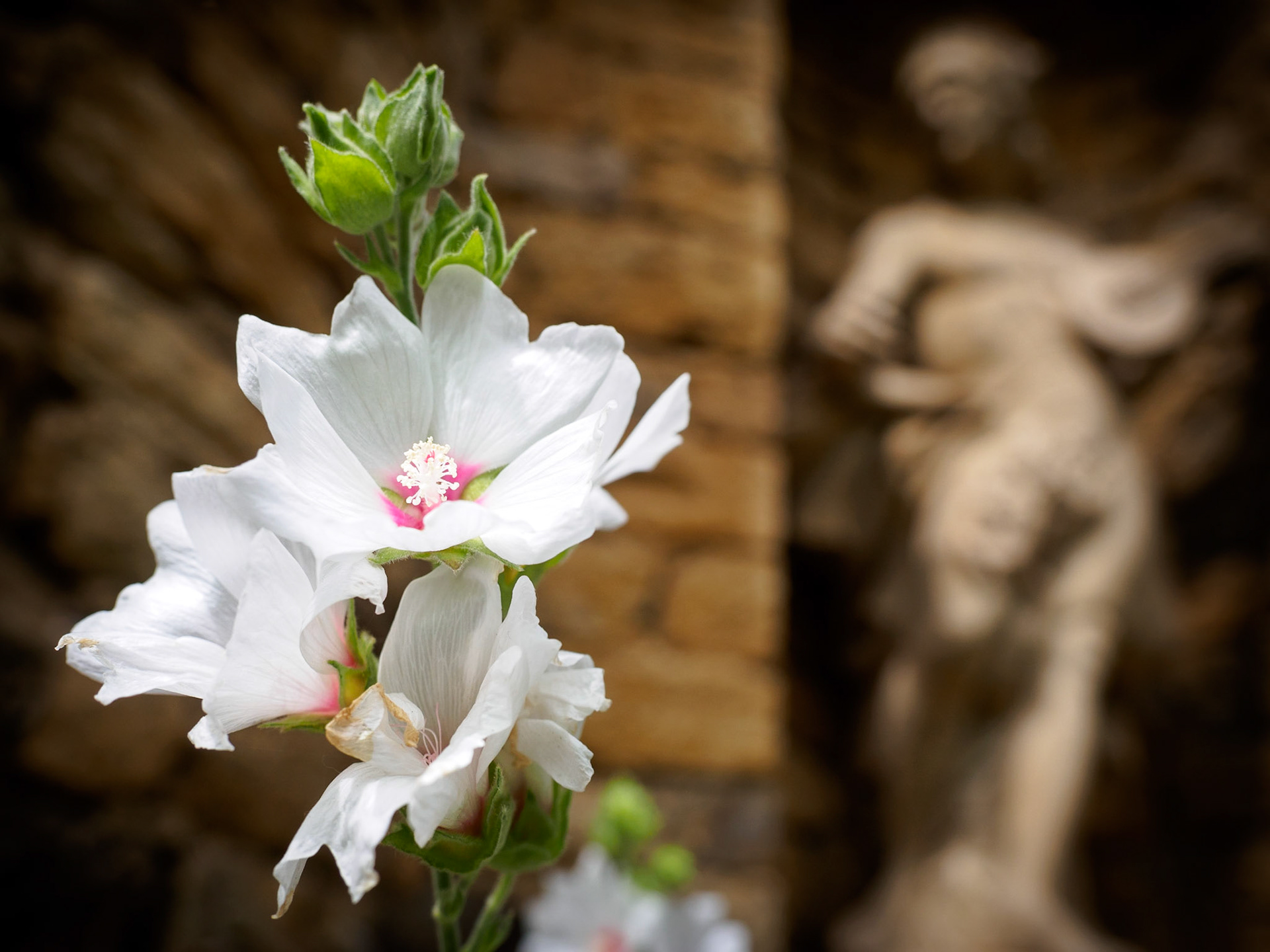 Scene found in the gardens of palace Ludwigsburg.
