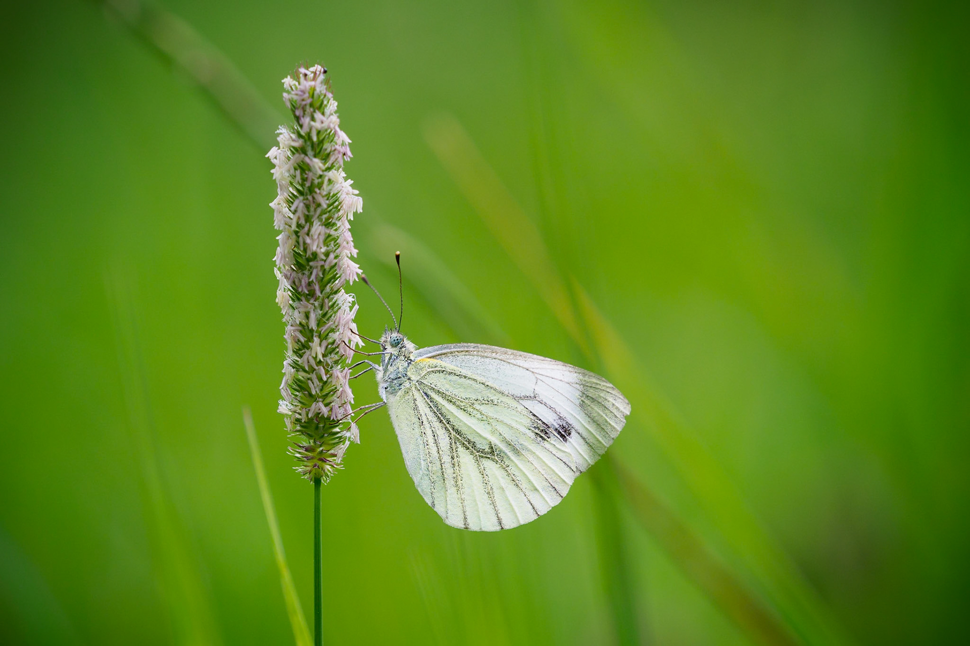 Memories from last year :)