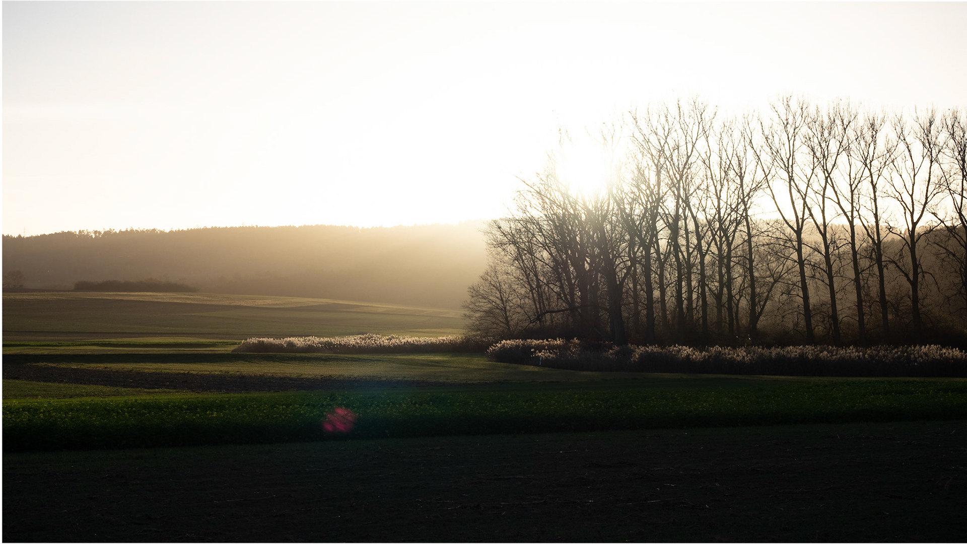 Testing out the advantages of HDR photograpy while geocaching.