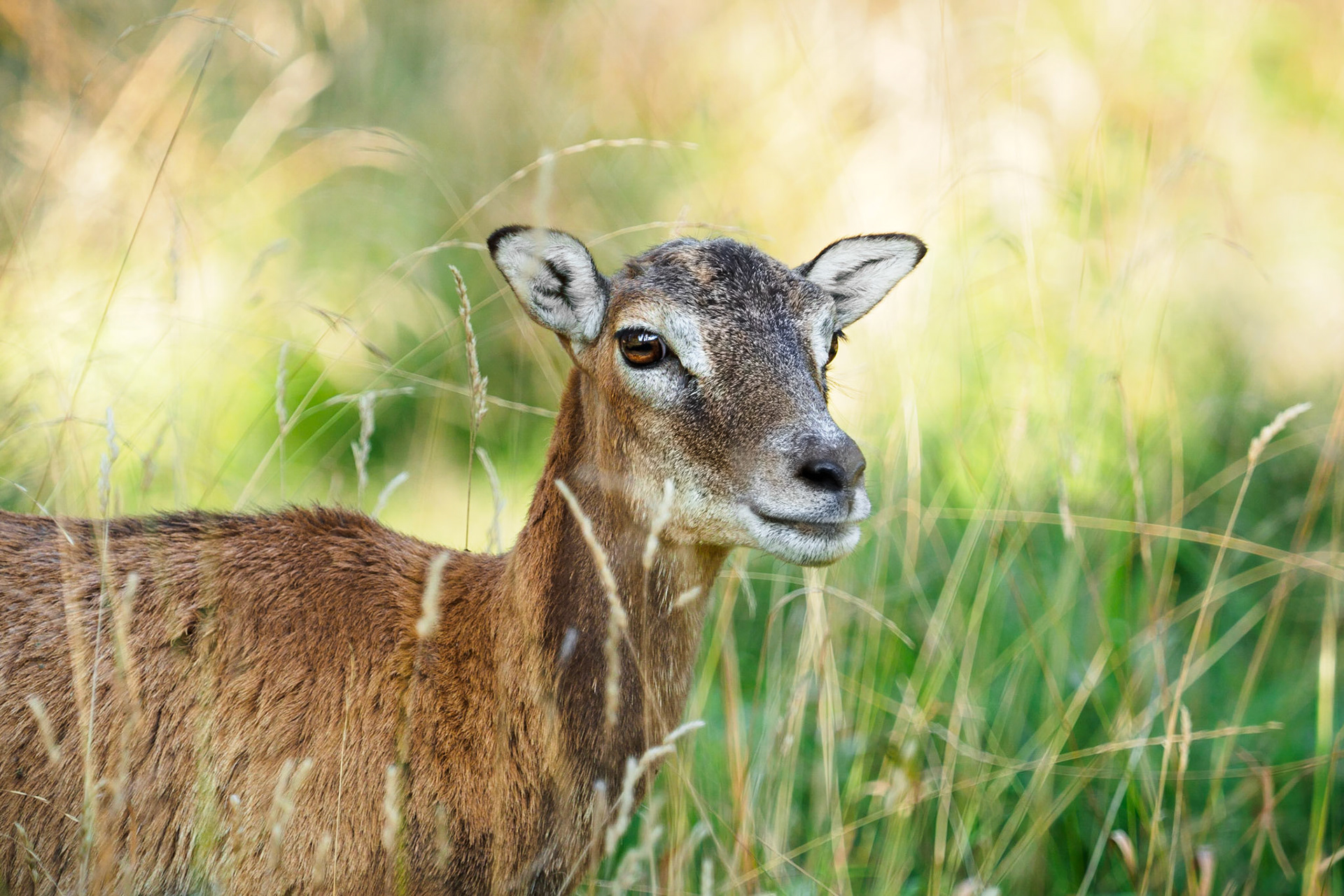 She was a cute one. Stay tuned for the male!