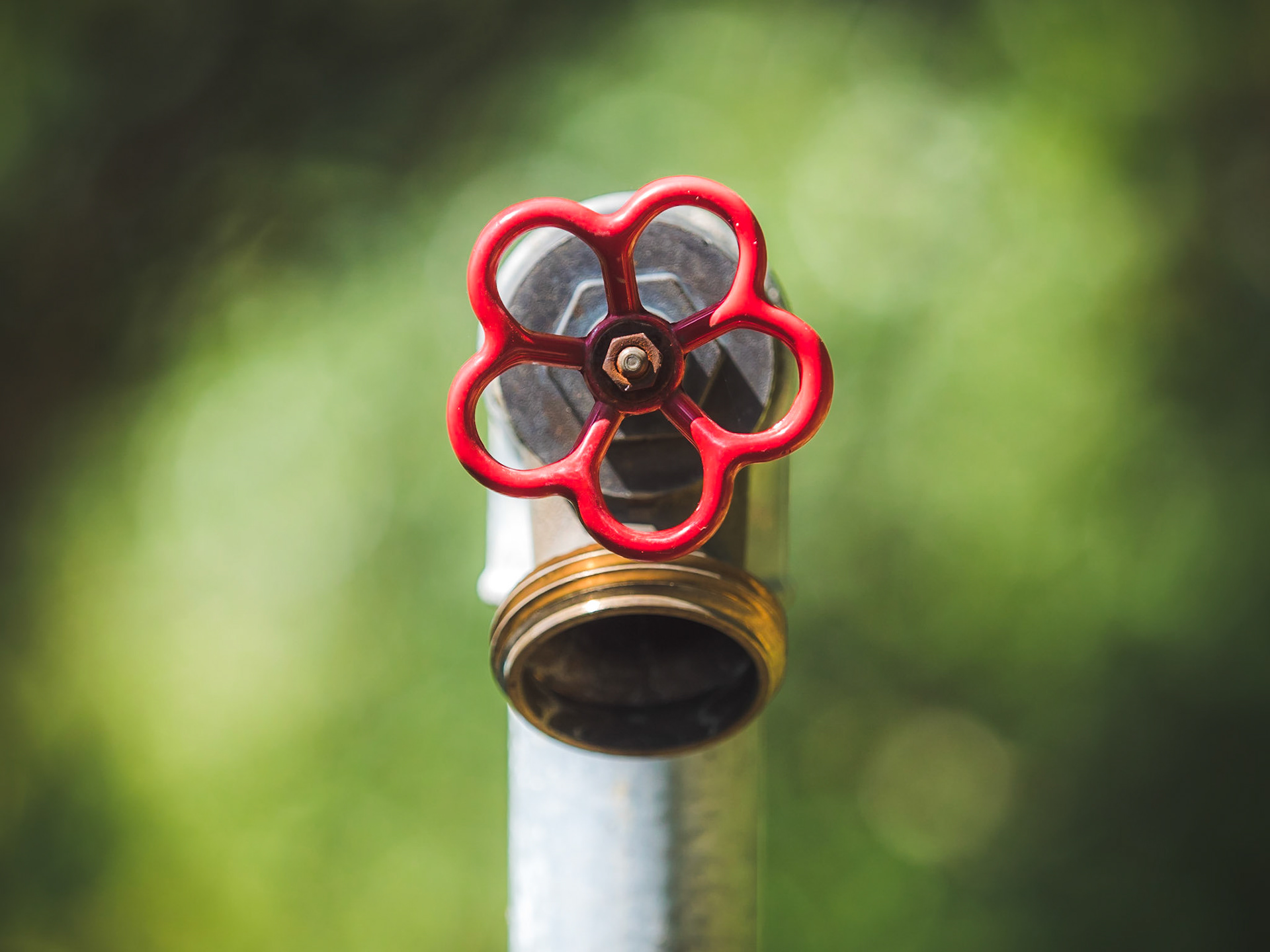 I think this might not have been one of the exhibits in the gardens of Villa Durazzo Pallavicini...