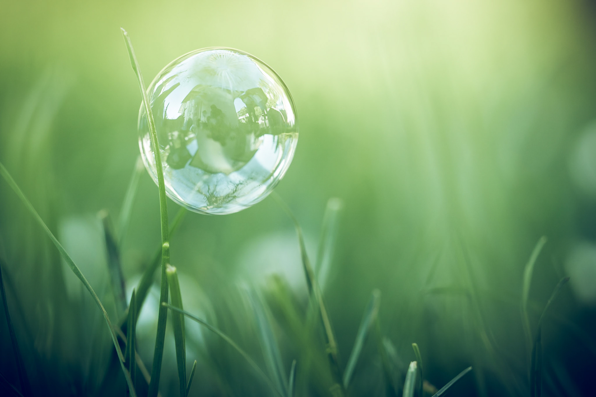 Sping is here! Sun is shining, bubbles are blooming. What a time to be alive!