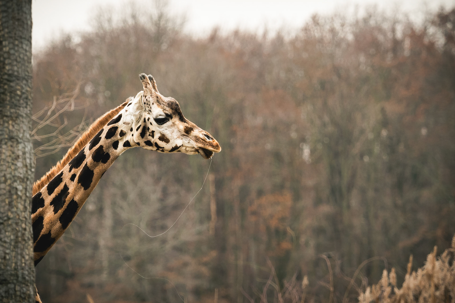 Don't look at me - I'm just drooling around!