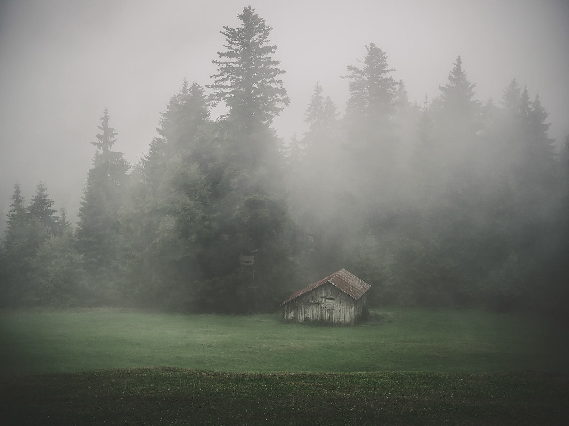 Oh what a day for a hike... Rain, fog, mud... But there are some good sides to this weather!