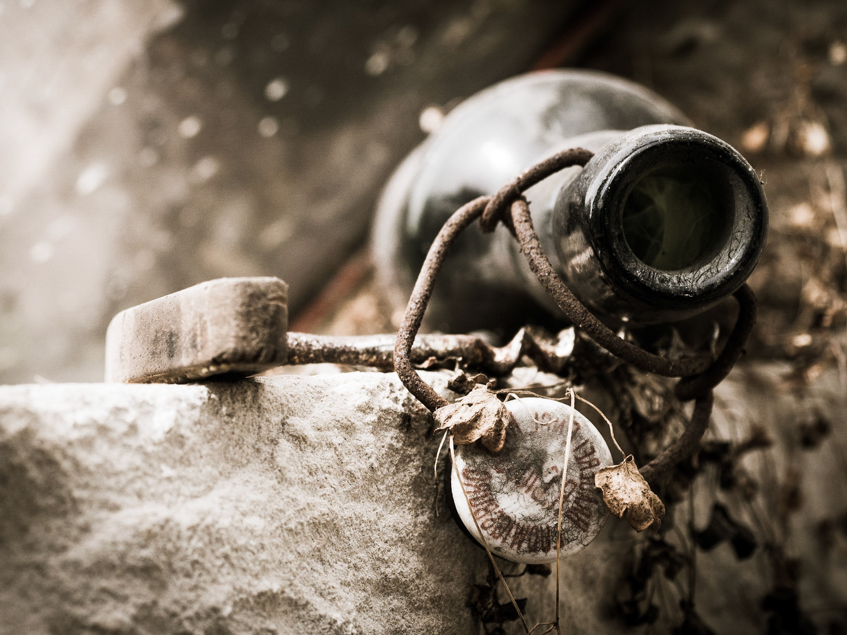 Found in of the many old and historic greenhouses in the gardens of palace Ludwigsburg.