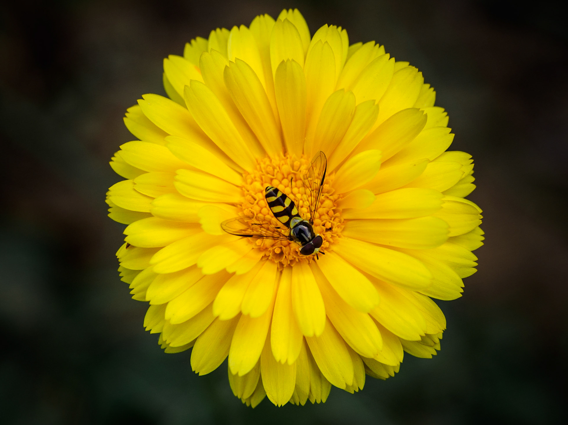 Shot on Geocaching adventure