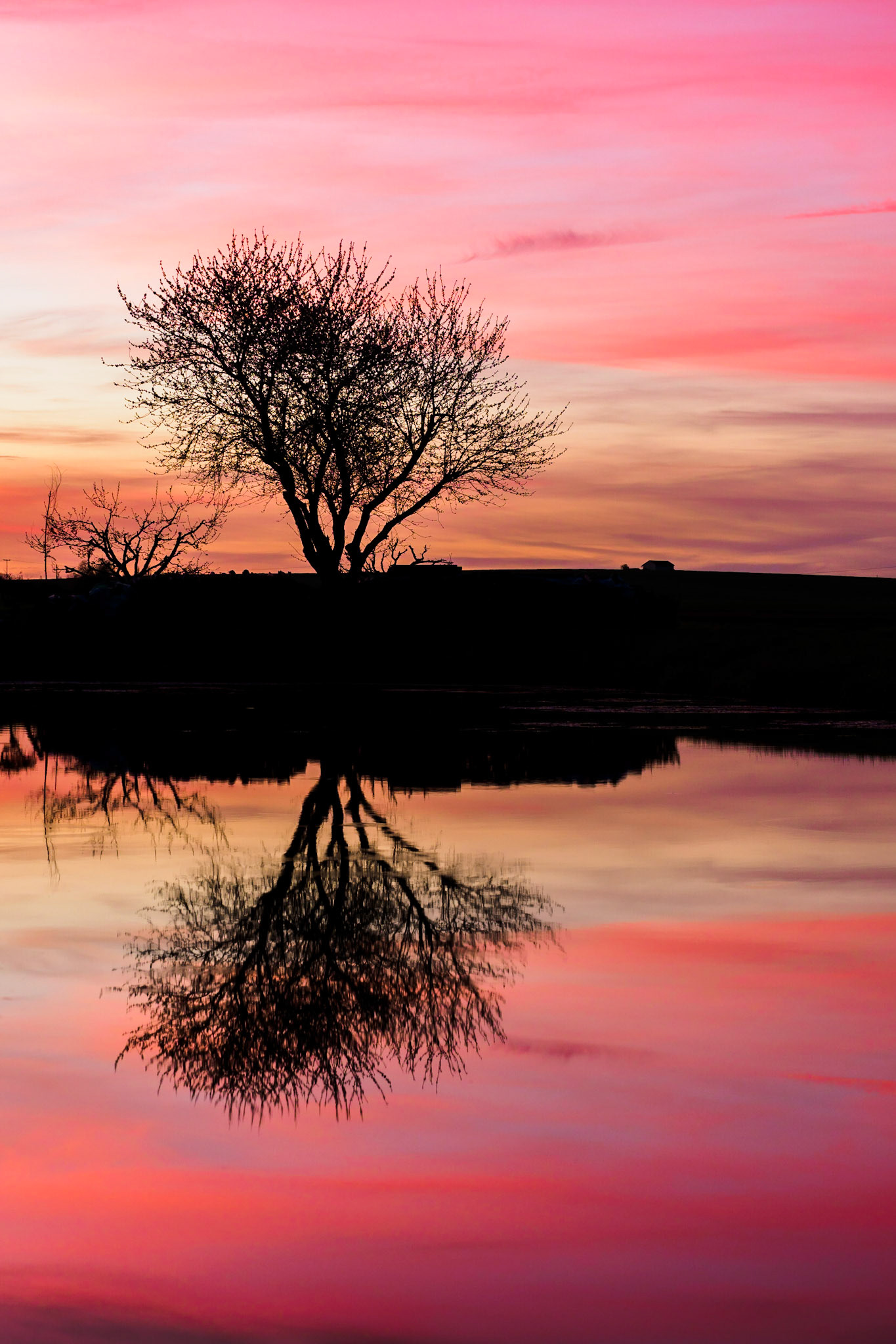 Yesterday's sundown war just magical!