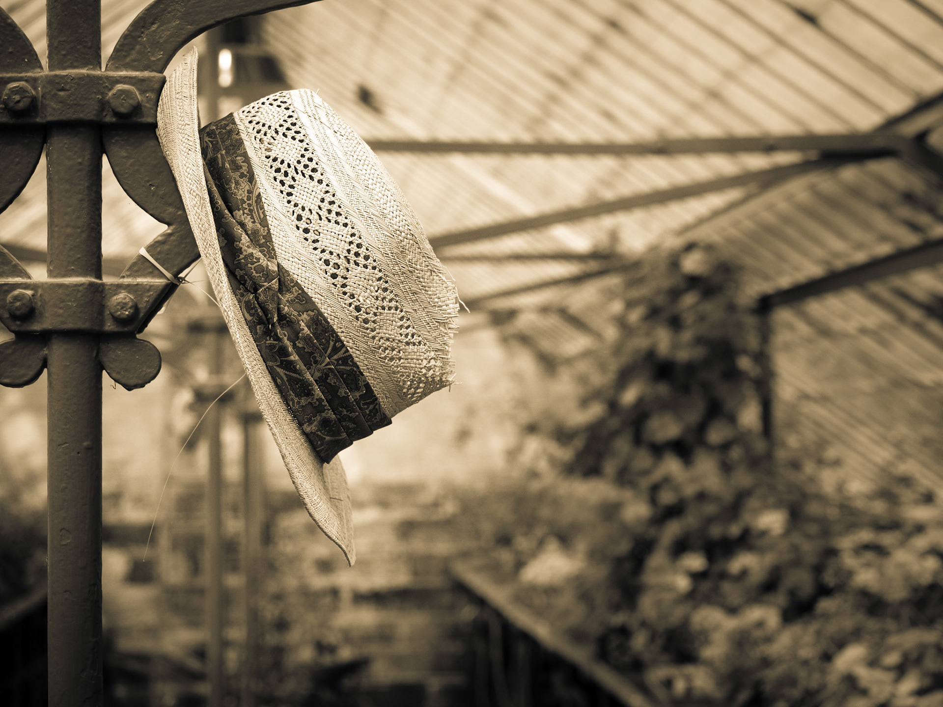 One of the many old and historic greenhouses in the gardens of palace Ludwigsburg. I really loved the calming atmosphere of this hat. The colours were beautiful, but would distract from the calm feeling. That's why I took the colorizing way!