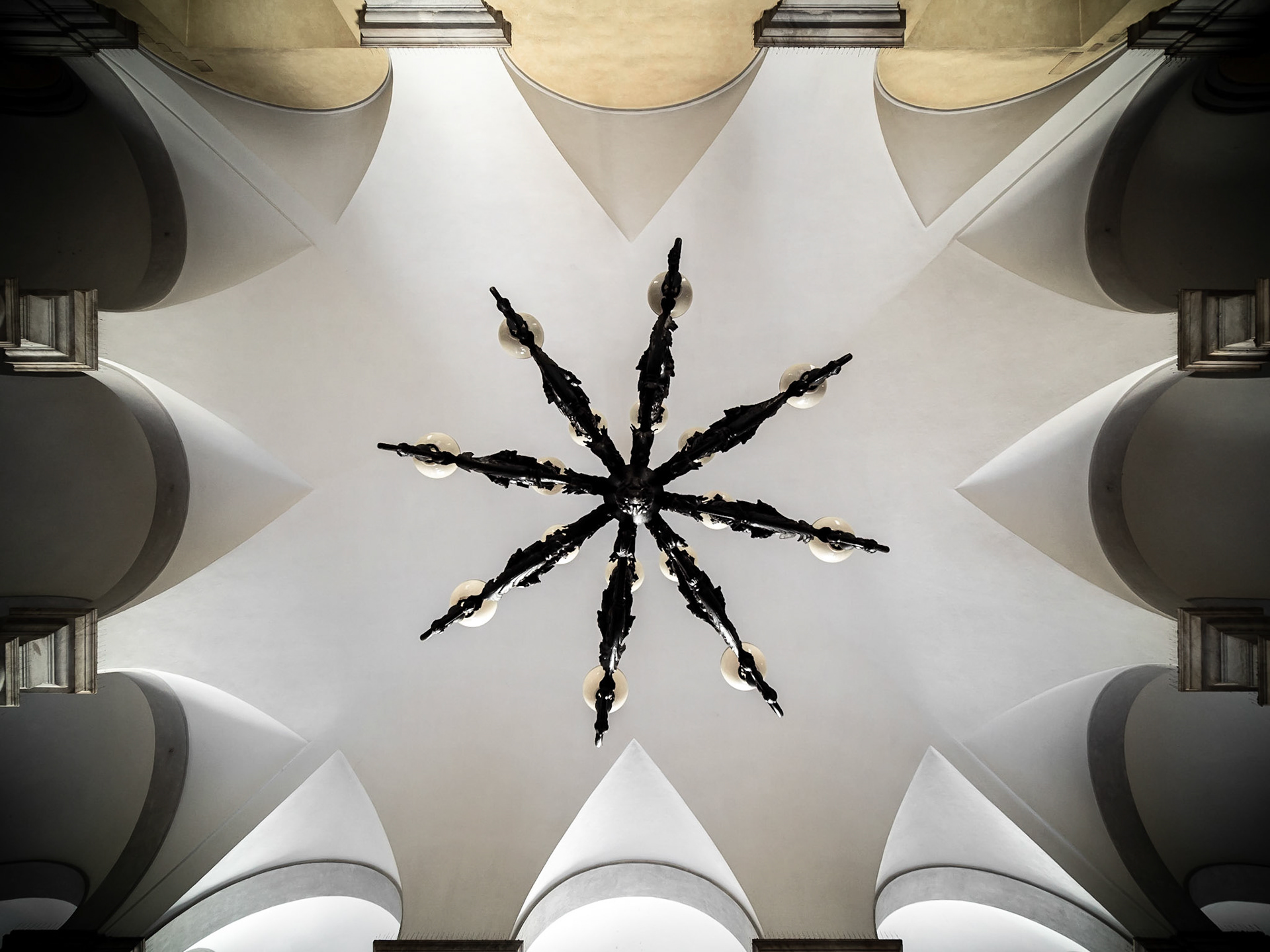 It's always a good idea to look up. This time here was really worth it! Glad I had my 7,5mm Ultrawide with me!