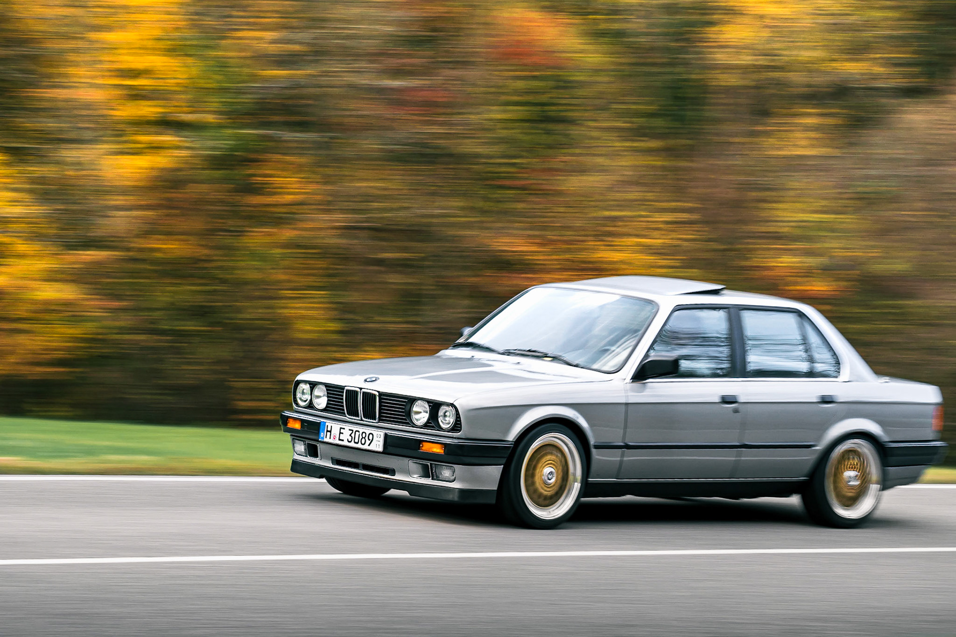 Enjoying the last colourful days in the autumn painted woods.