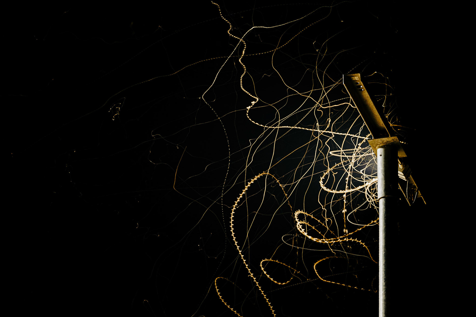 What you see here is a Live-Composite shot of a LED floodlight. There were many insects flying around this light. So I decided to try to capture their motion. As I looked at the result I was blown away! Cou can clearly see each flap of their wings. I really love the chaotic lines of their paths!